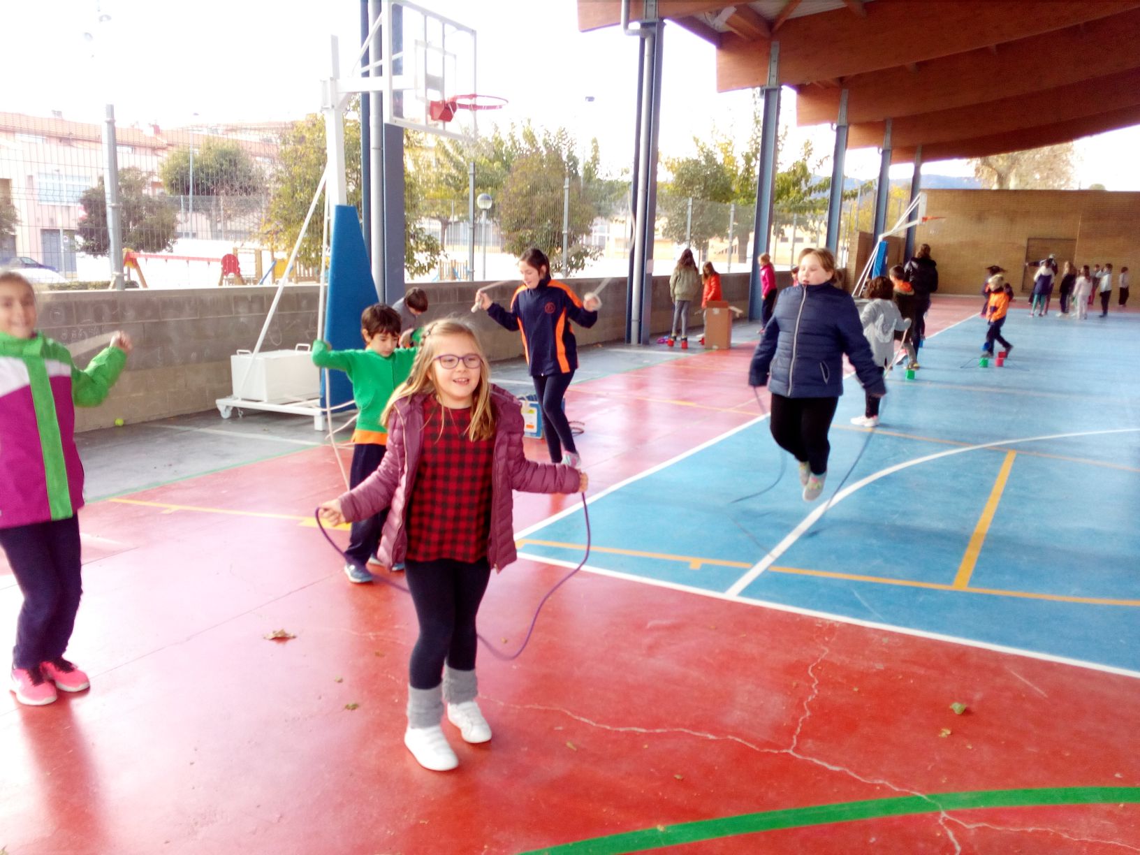 resized_IMG_20171201_145819