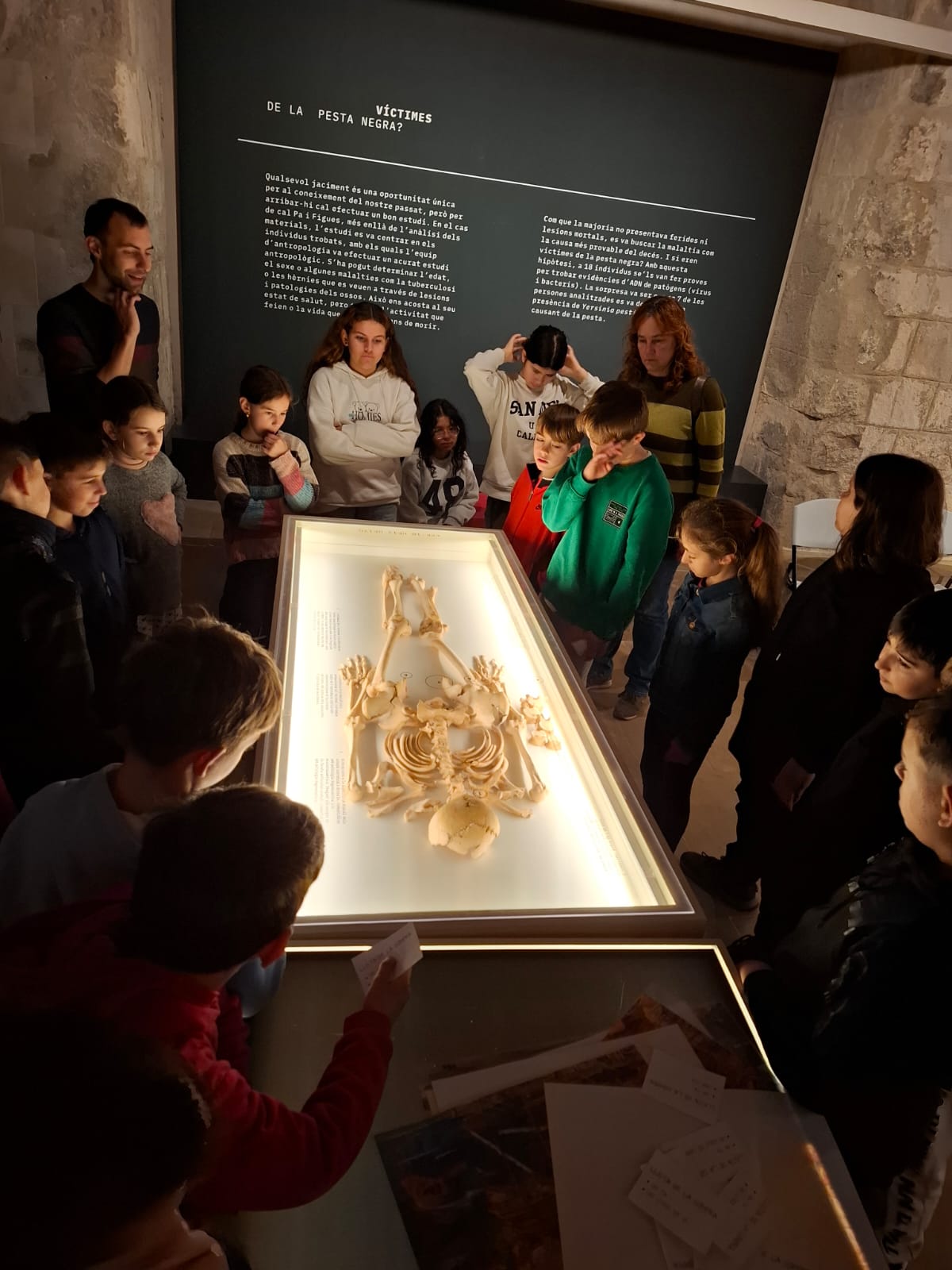 WhatsApp Image 2025-02-22 at 05.35.51