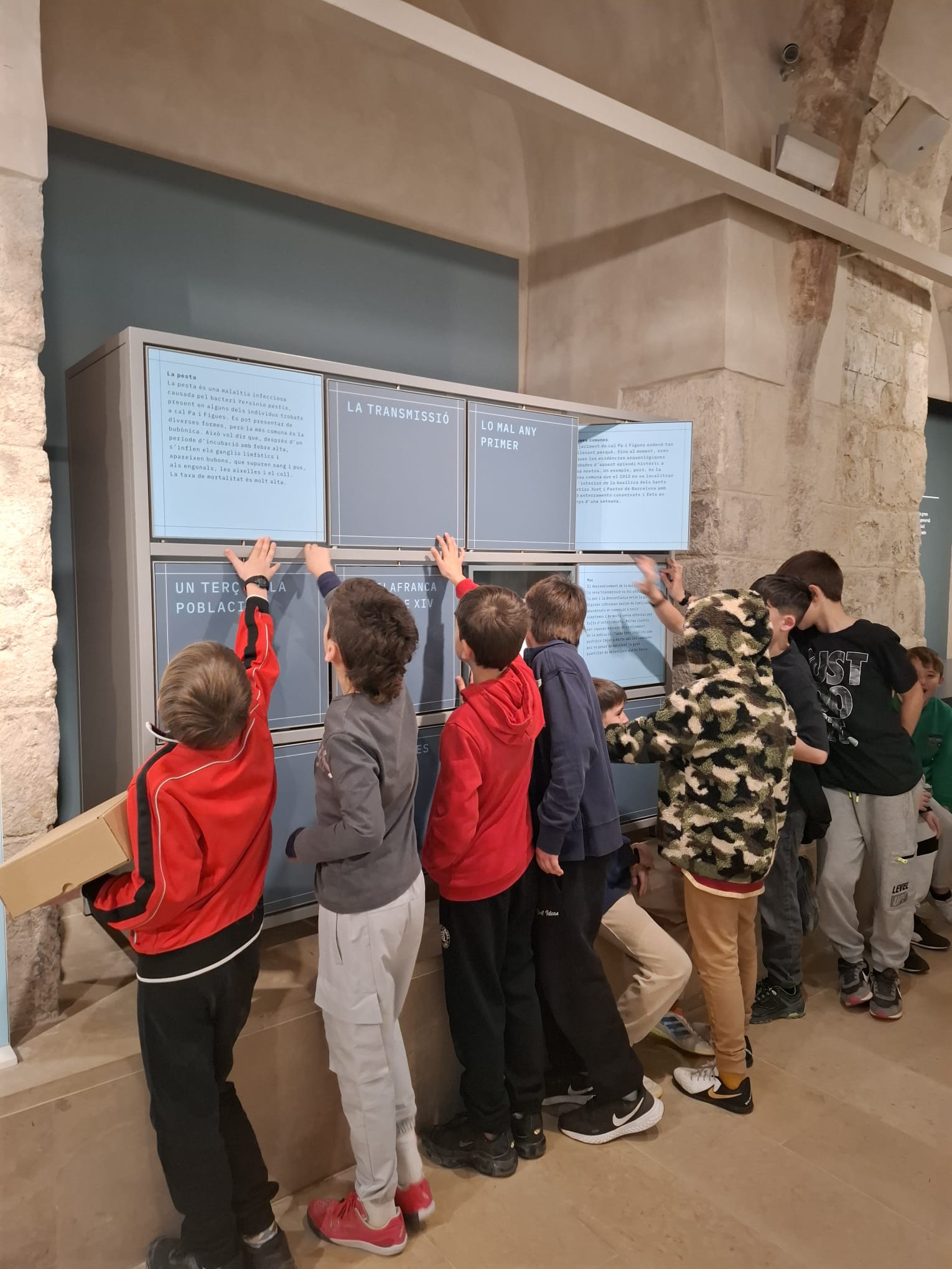 WhatsApp Image 2025-02-22 at 05.37.27