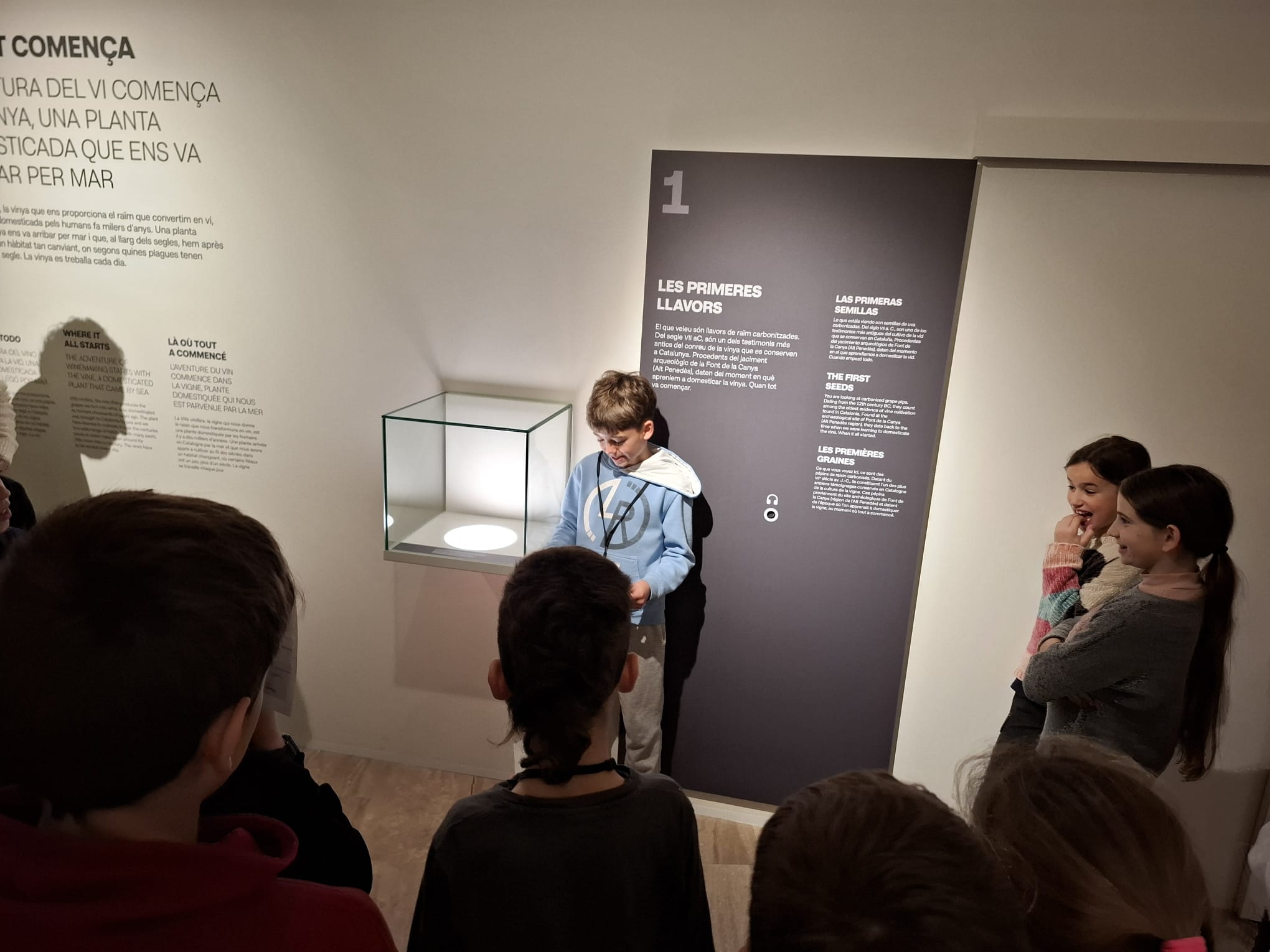 WhatsApp Image 2025-02-22 at 05.49.51