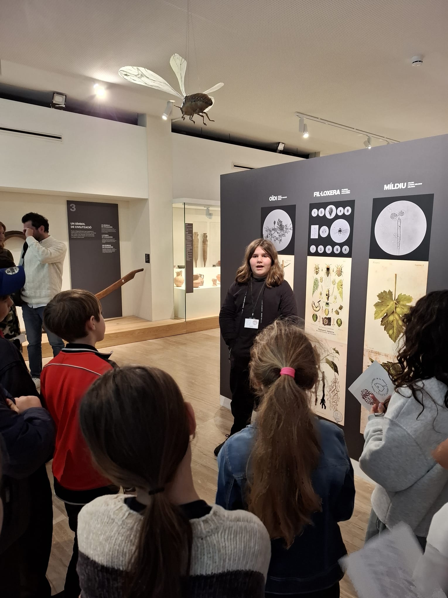 WhatsApp Image 2025-02-22 at 05.50.31