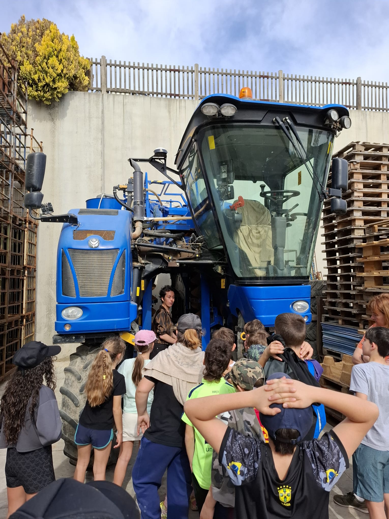 WhatsApp Image 2025-05-09 at 13.14.14