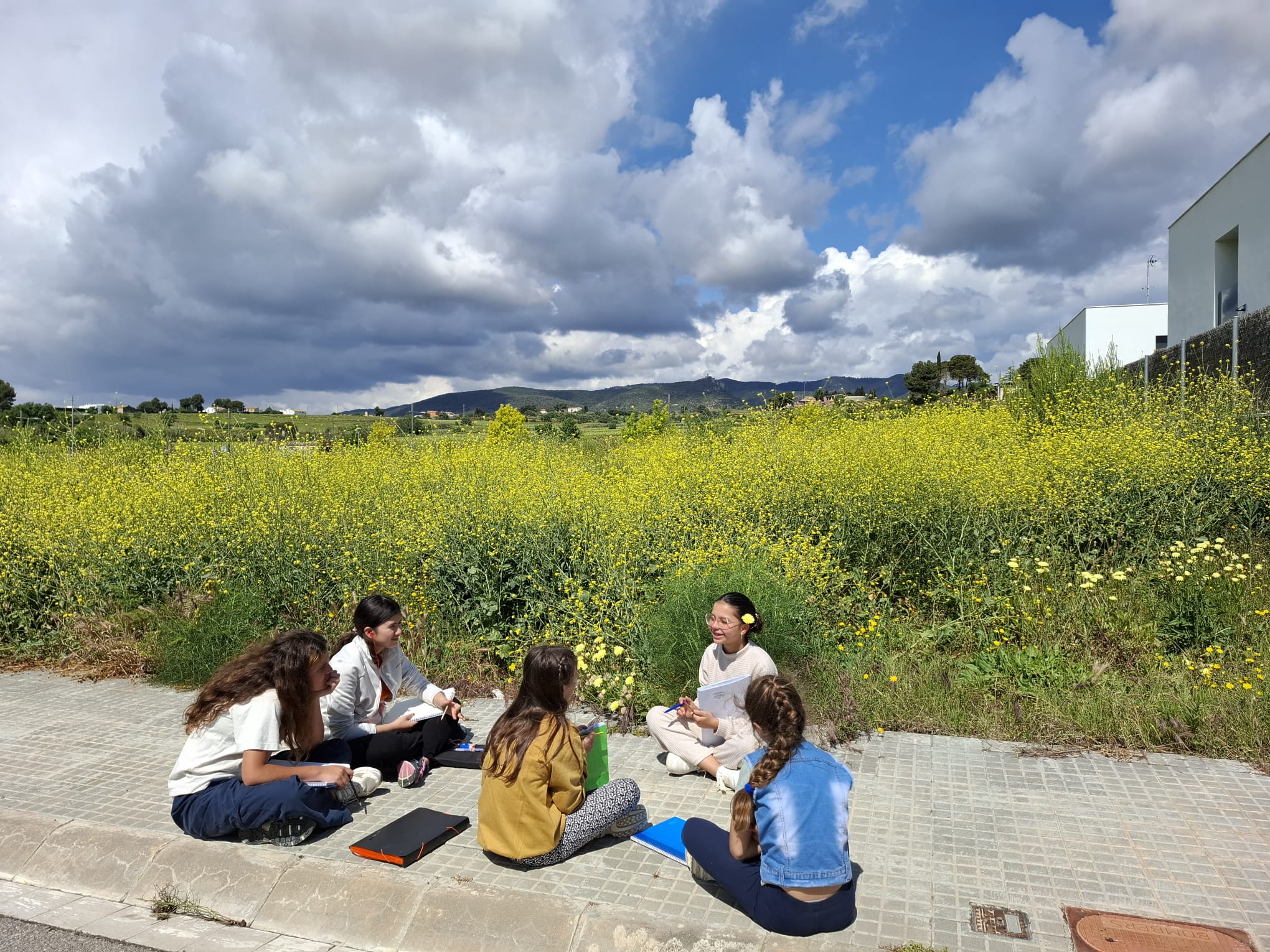 WhatsApp Image 2025-05-09 at 23.23.54