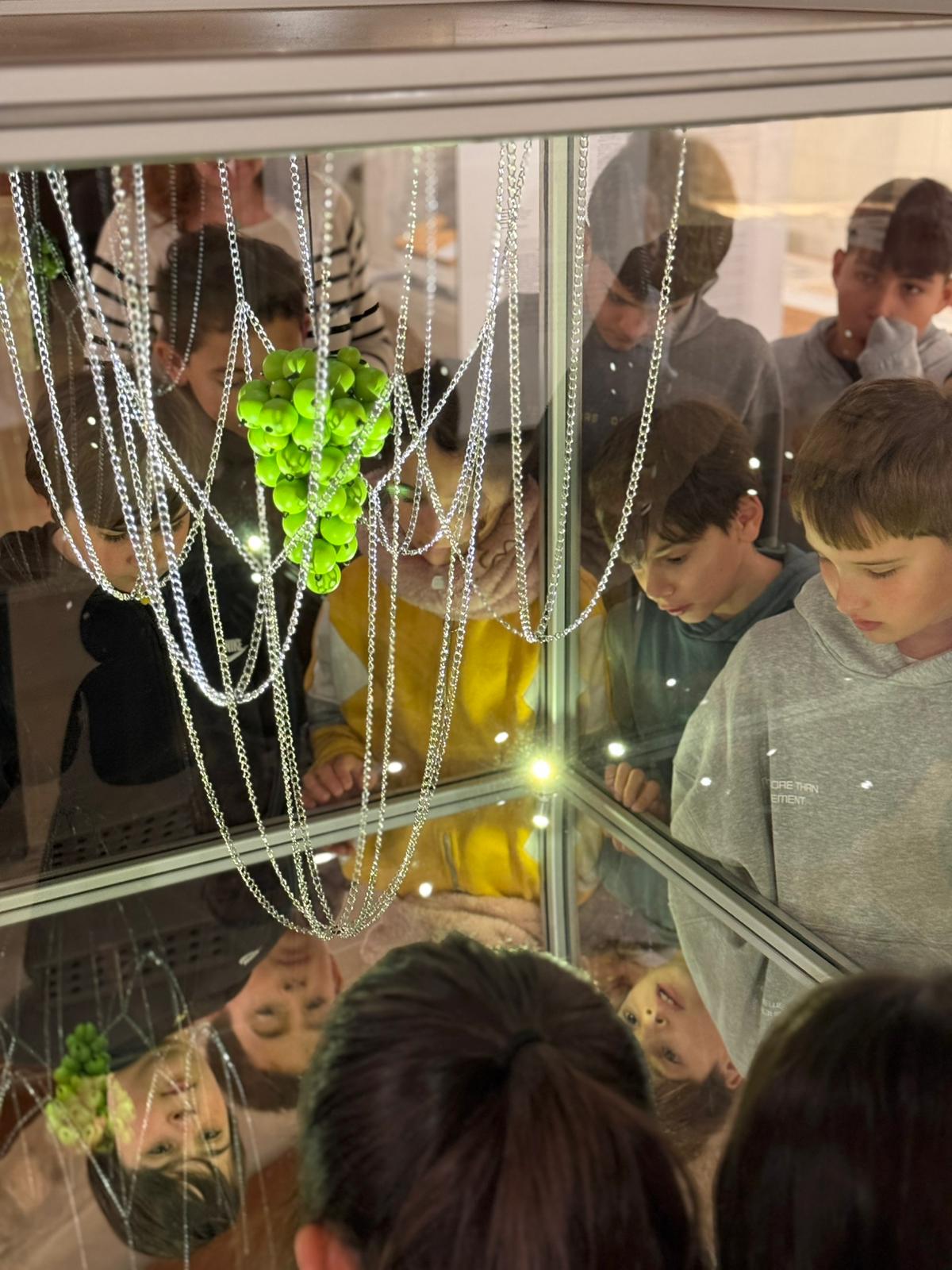 WhatsApp Image 2026-02-20 at 11.22.43 (3)