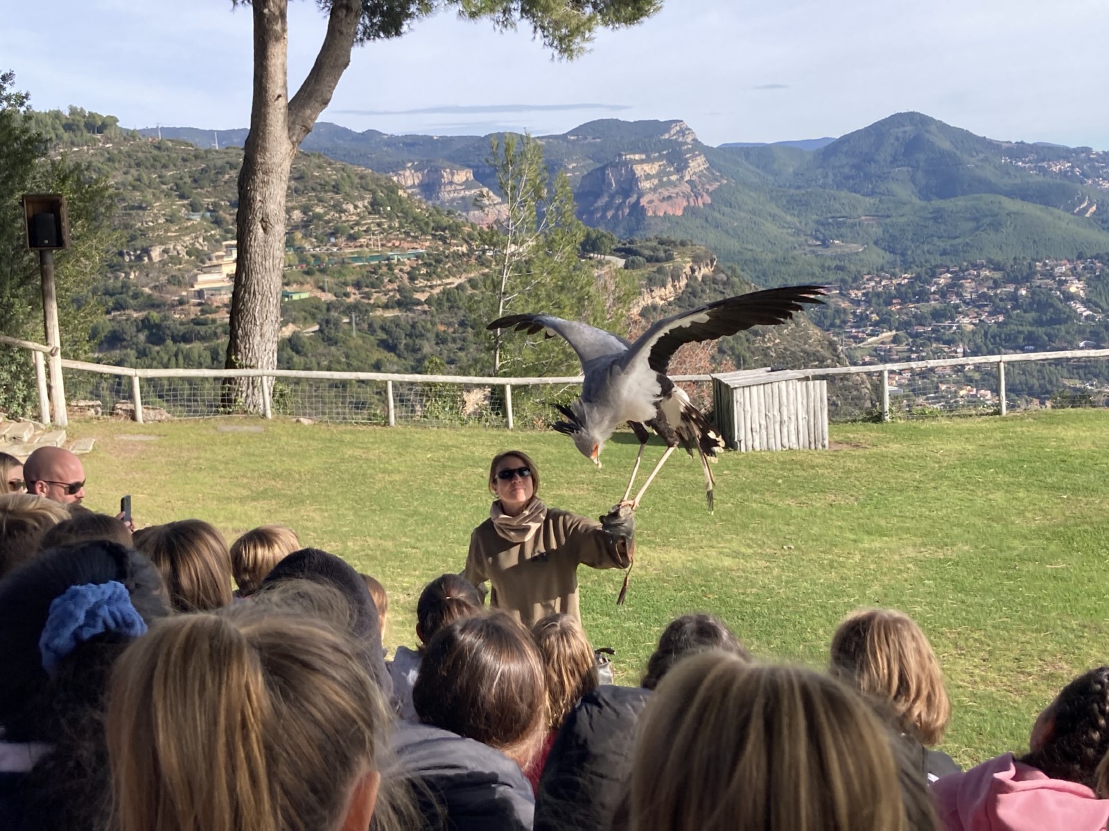 IMG_1310 [1600x1200]