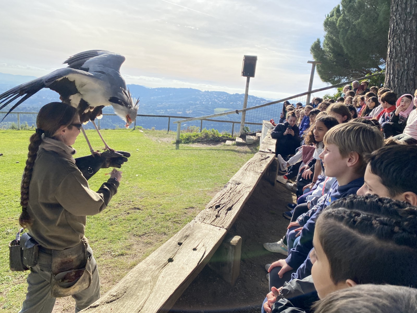 IMG_5224 [1600x1200]