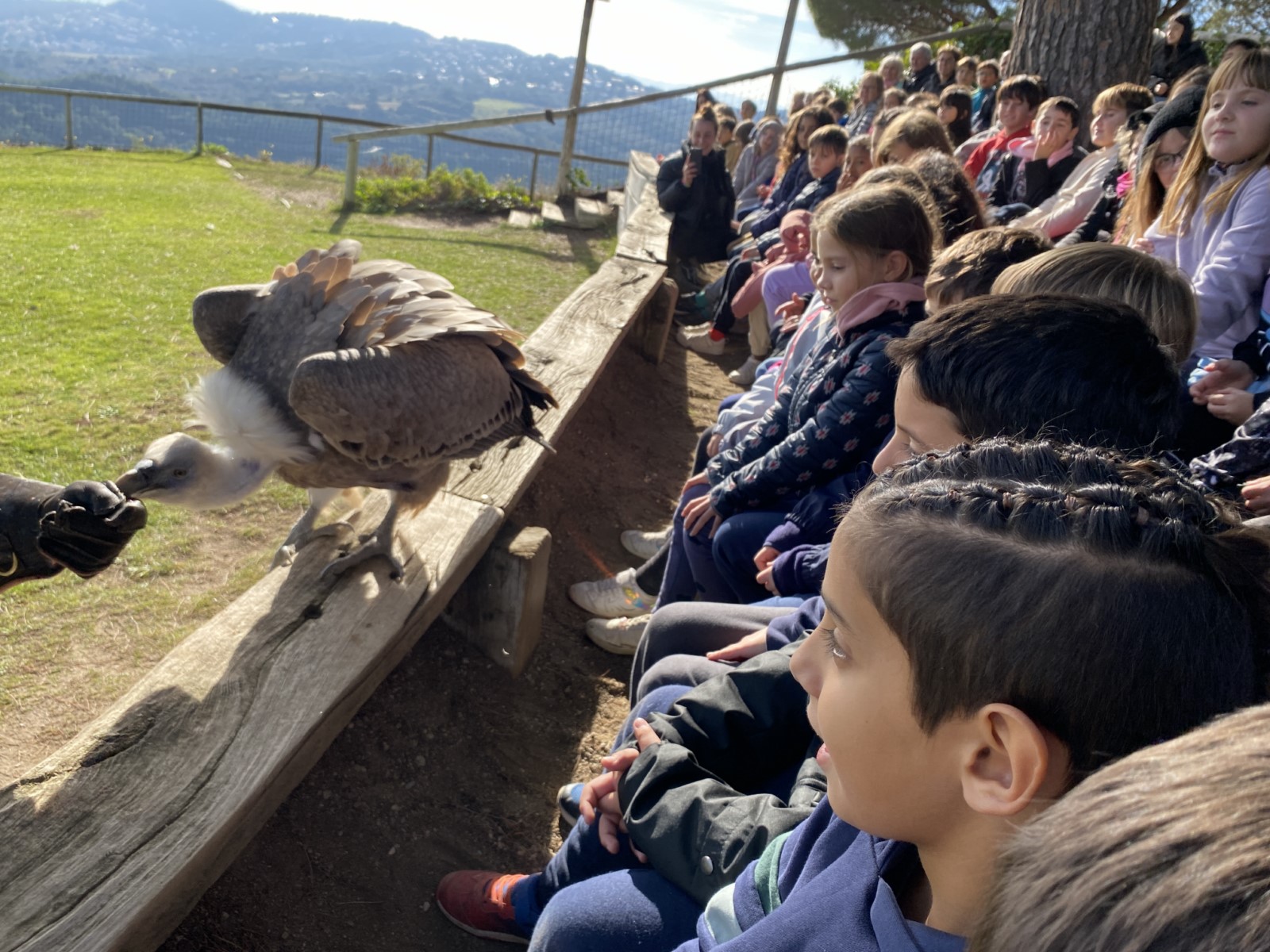 IMG_5248 [1600x1200]