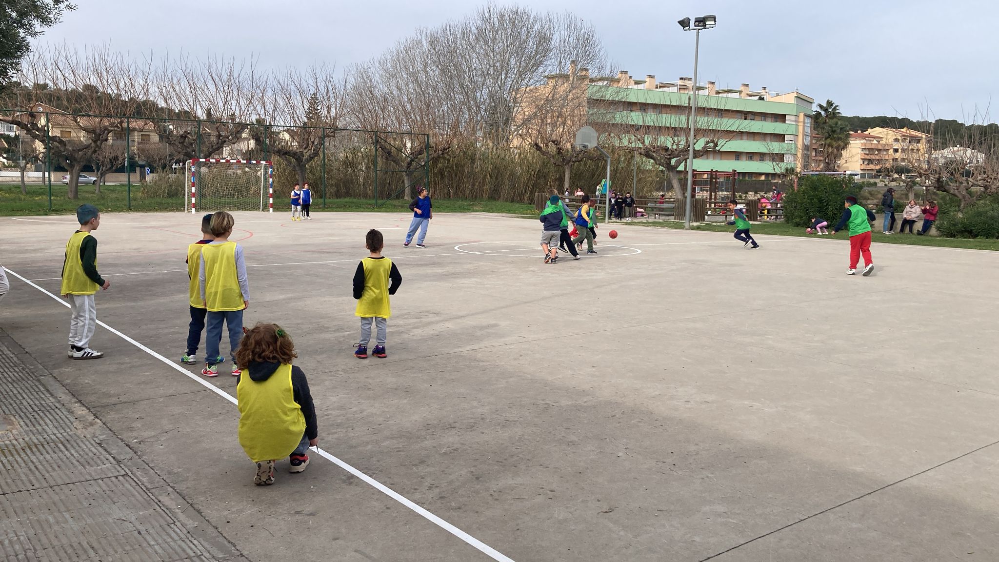 WhatsApp Image 2025-02-27 at 10.29.14