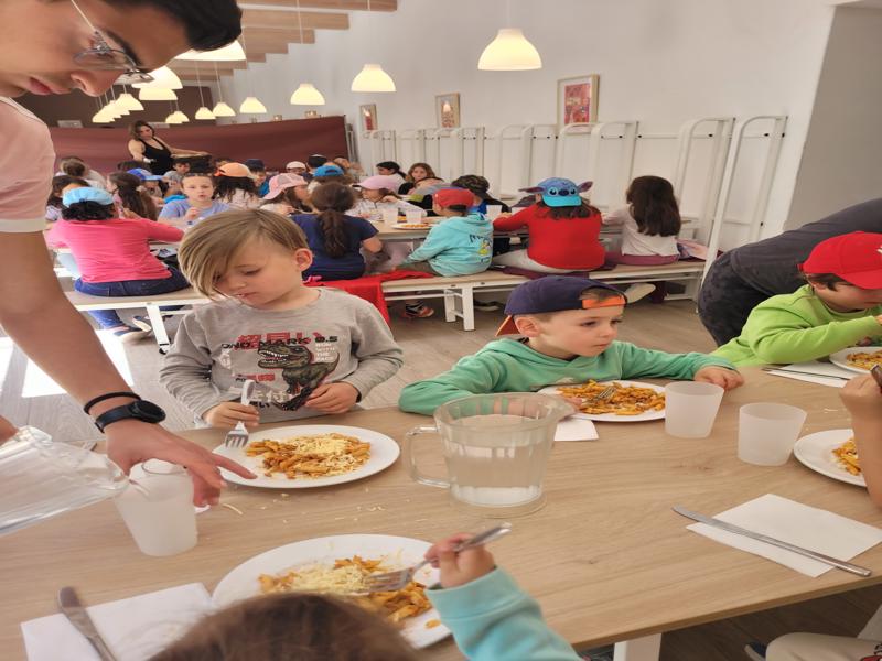 20250408_134155-800x600