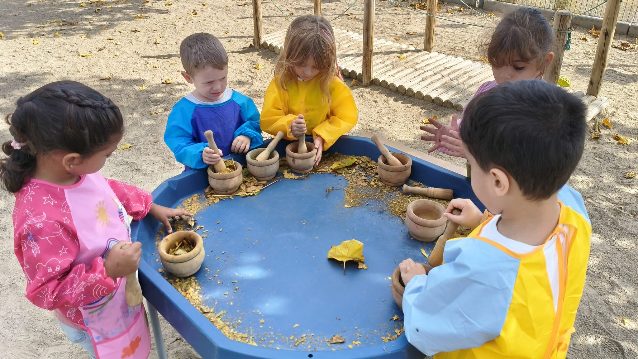 WhatsApp Image 2025-10-08 at 18.07.04 (2)