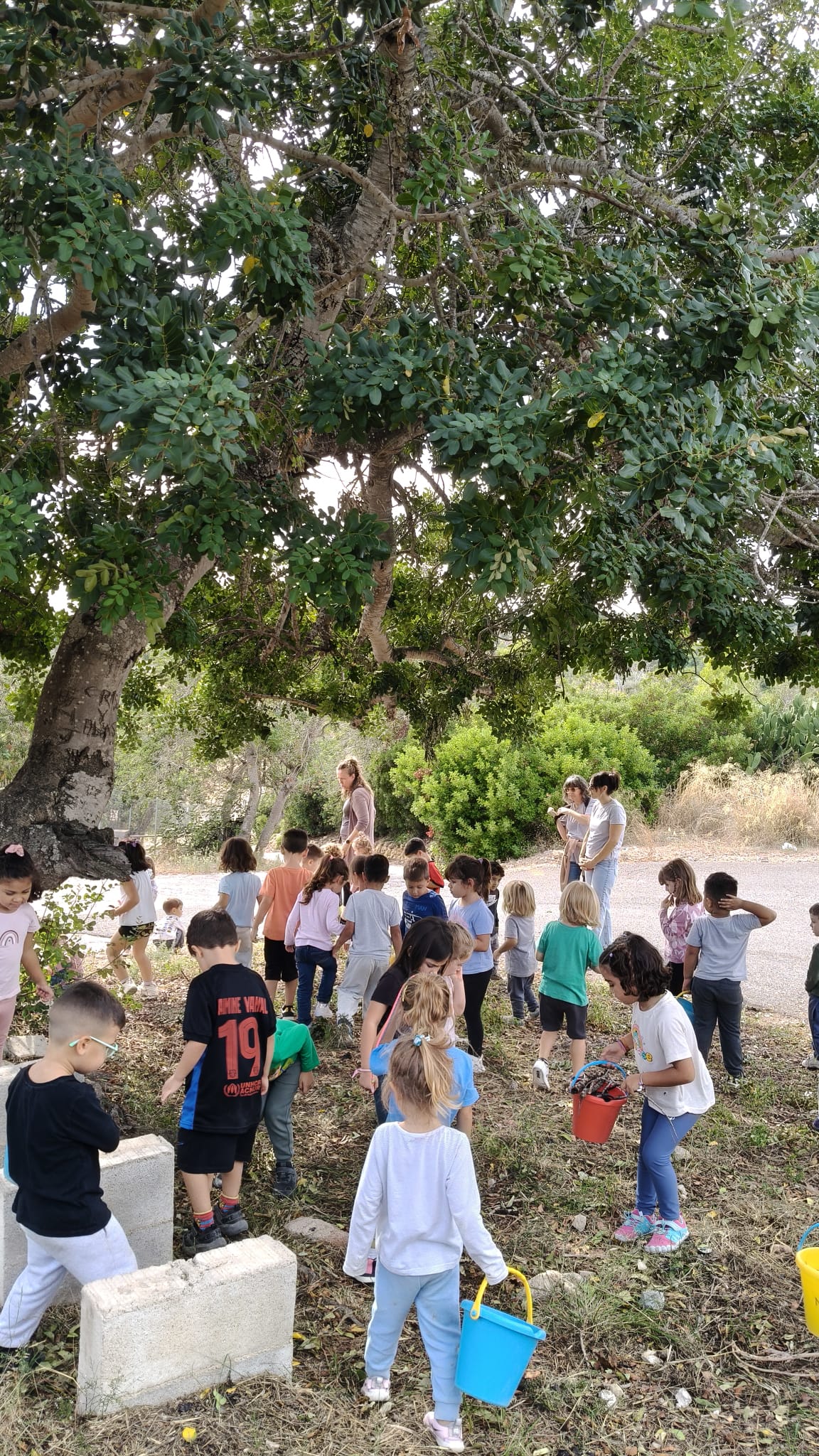 WhatsApp Image 2025-10-08 at 18.54.16 (2)