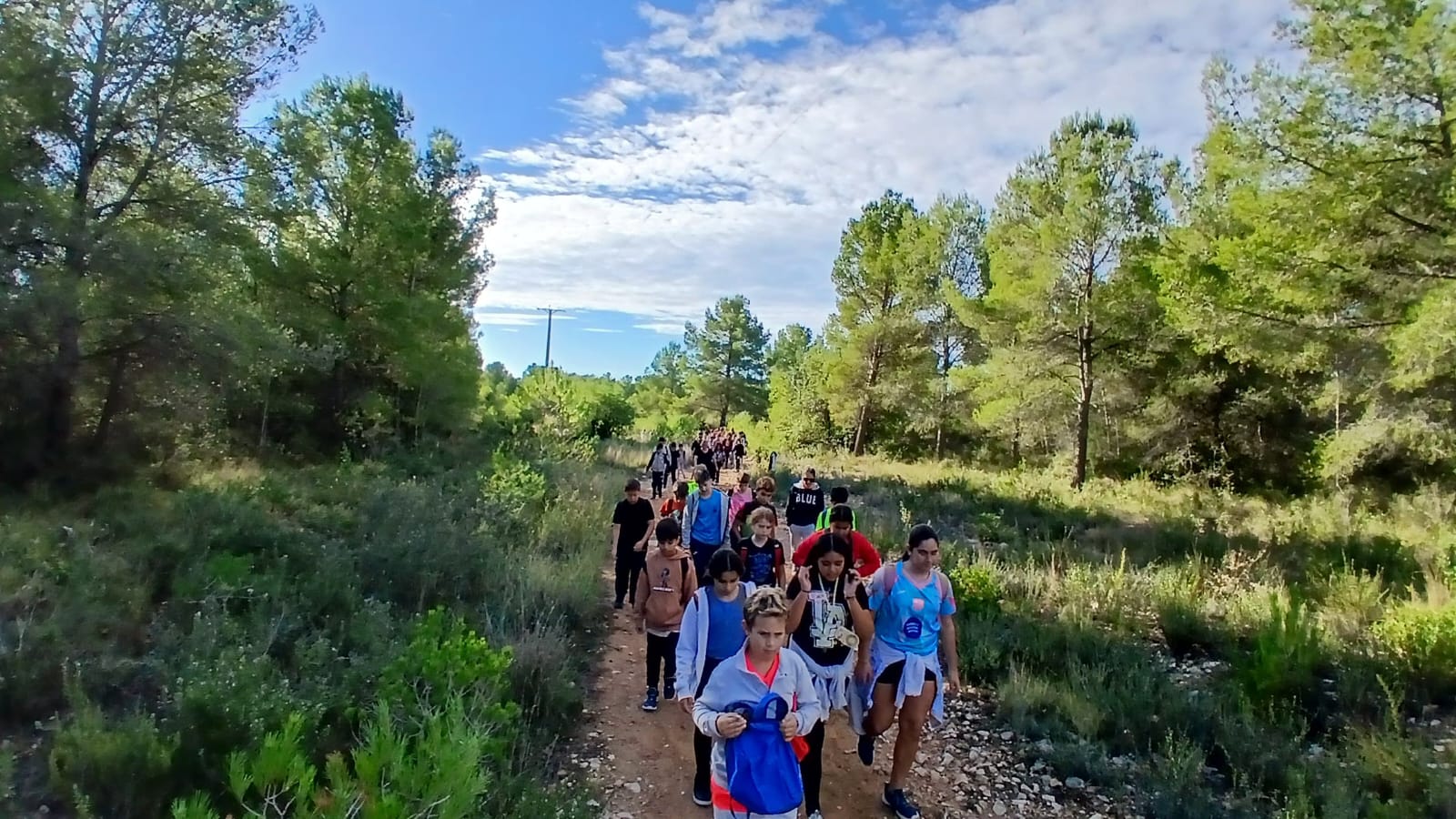 WhatsApp Image 2025-11-07 at 15.17.16