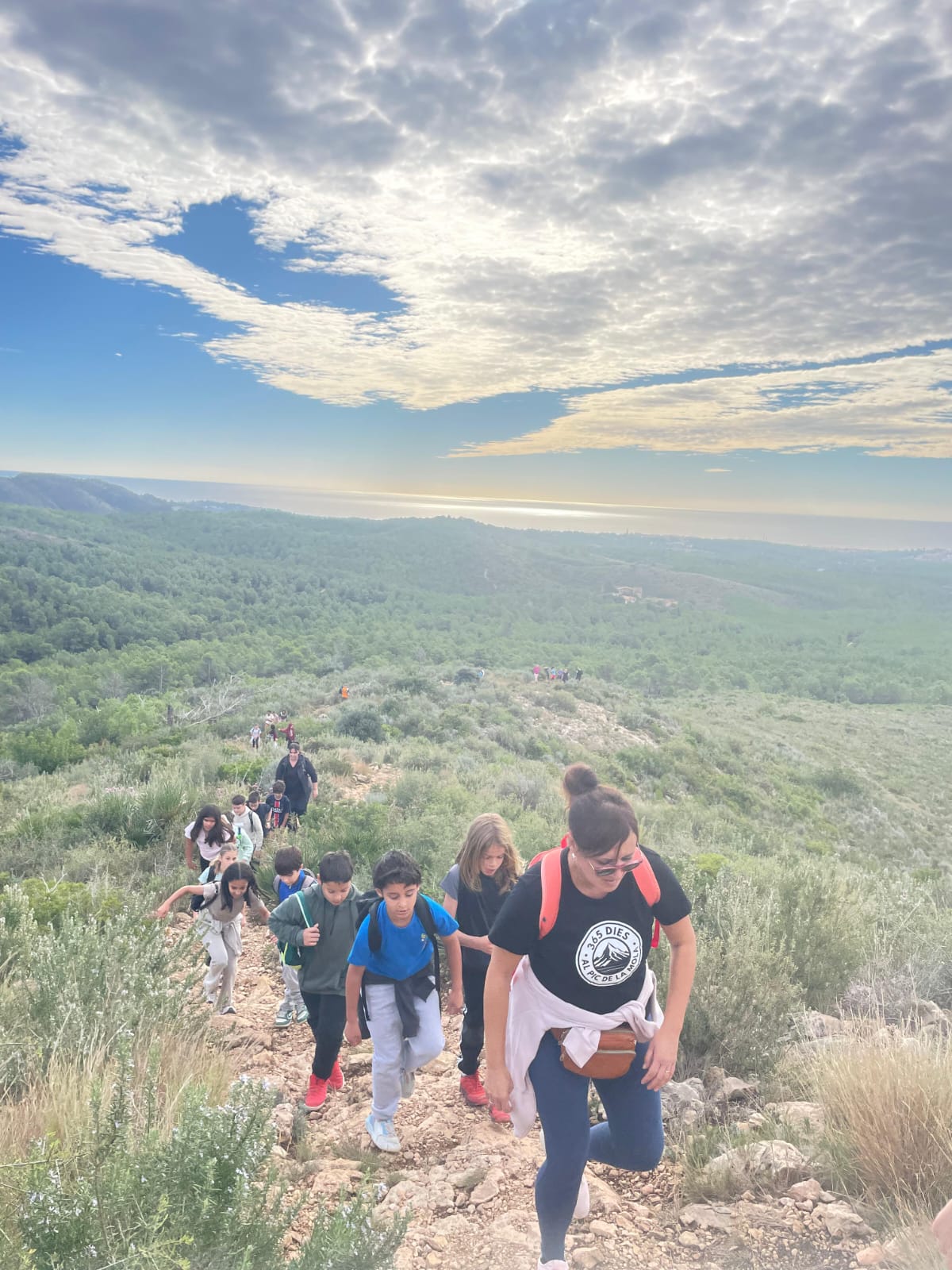 WhatsApp Image 2025-11-07 at 15.17.19