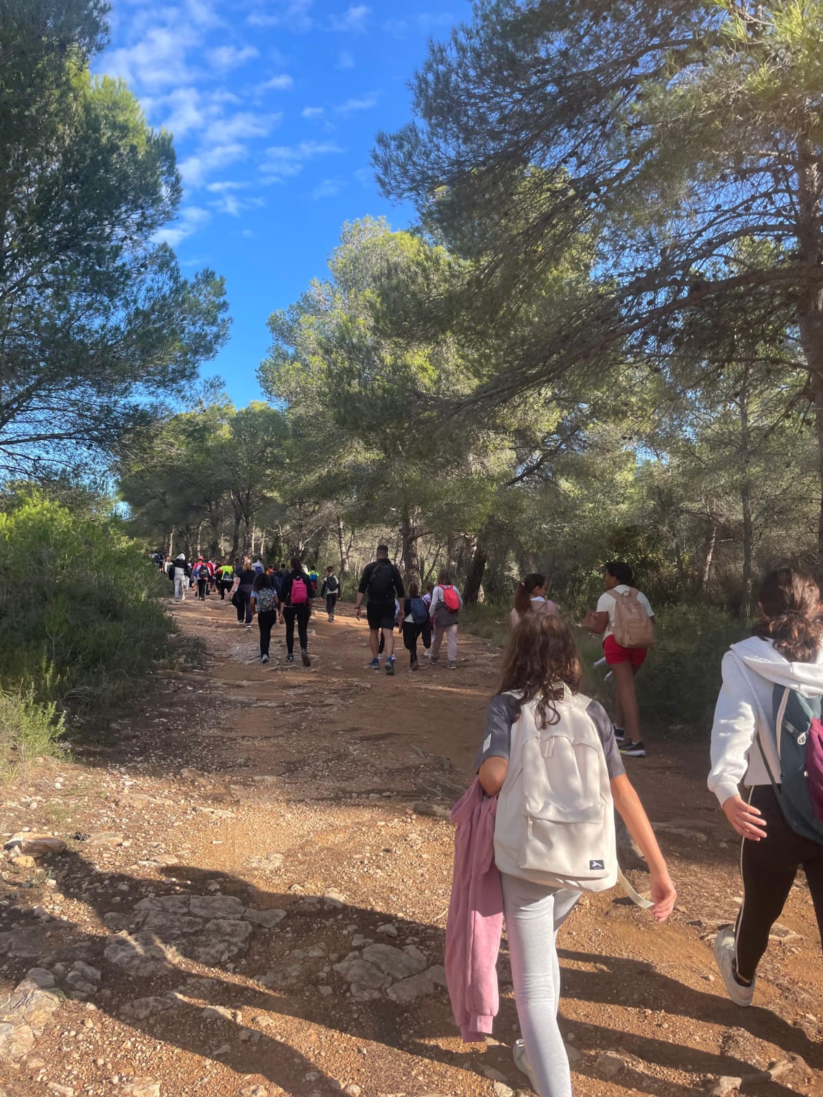 WhatsApp Image 2025-11-07 at 15.17.20 (1)