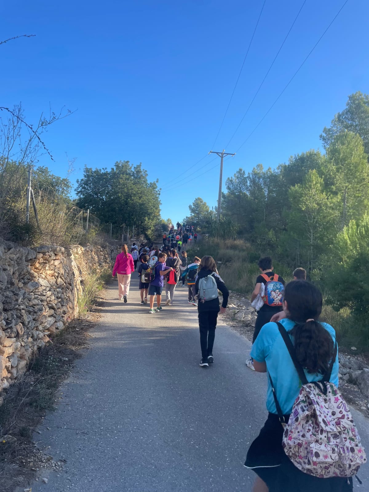 WhatsApp Image 2025-11-07 at 15.17.20 (3)