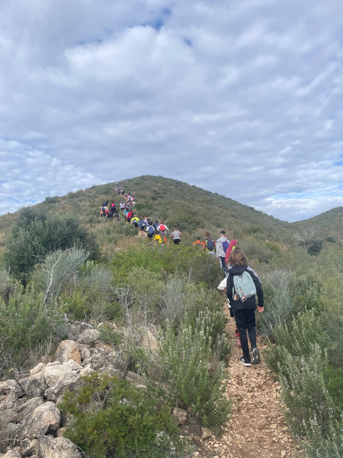 WhatsApp Image 2025-11-07 at 15.17.20