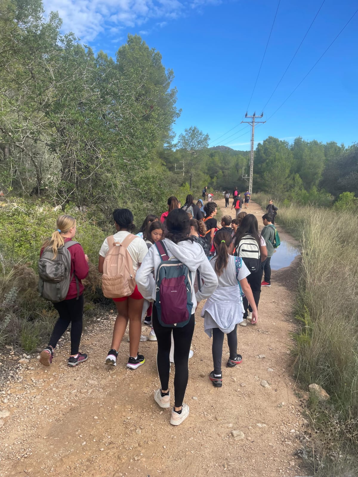 WhatsApp Image 2025-11-07 at 15.17.22