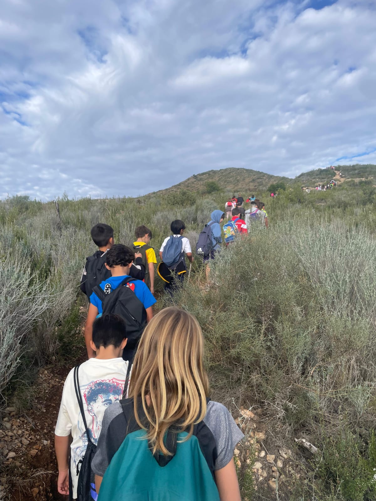 WhatsApp Image 2025-11-07 at 15.17.24