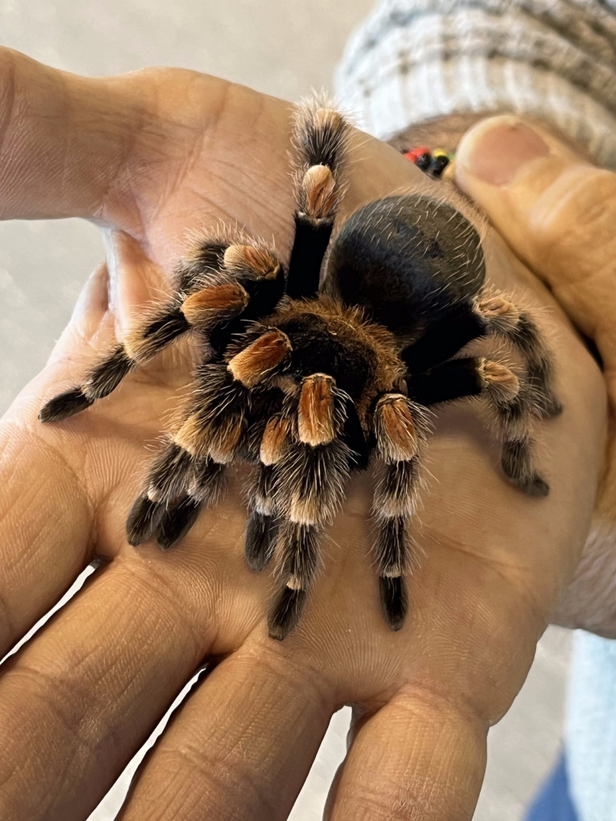 1-d9d8f748 [1600x1200]