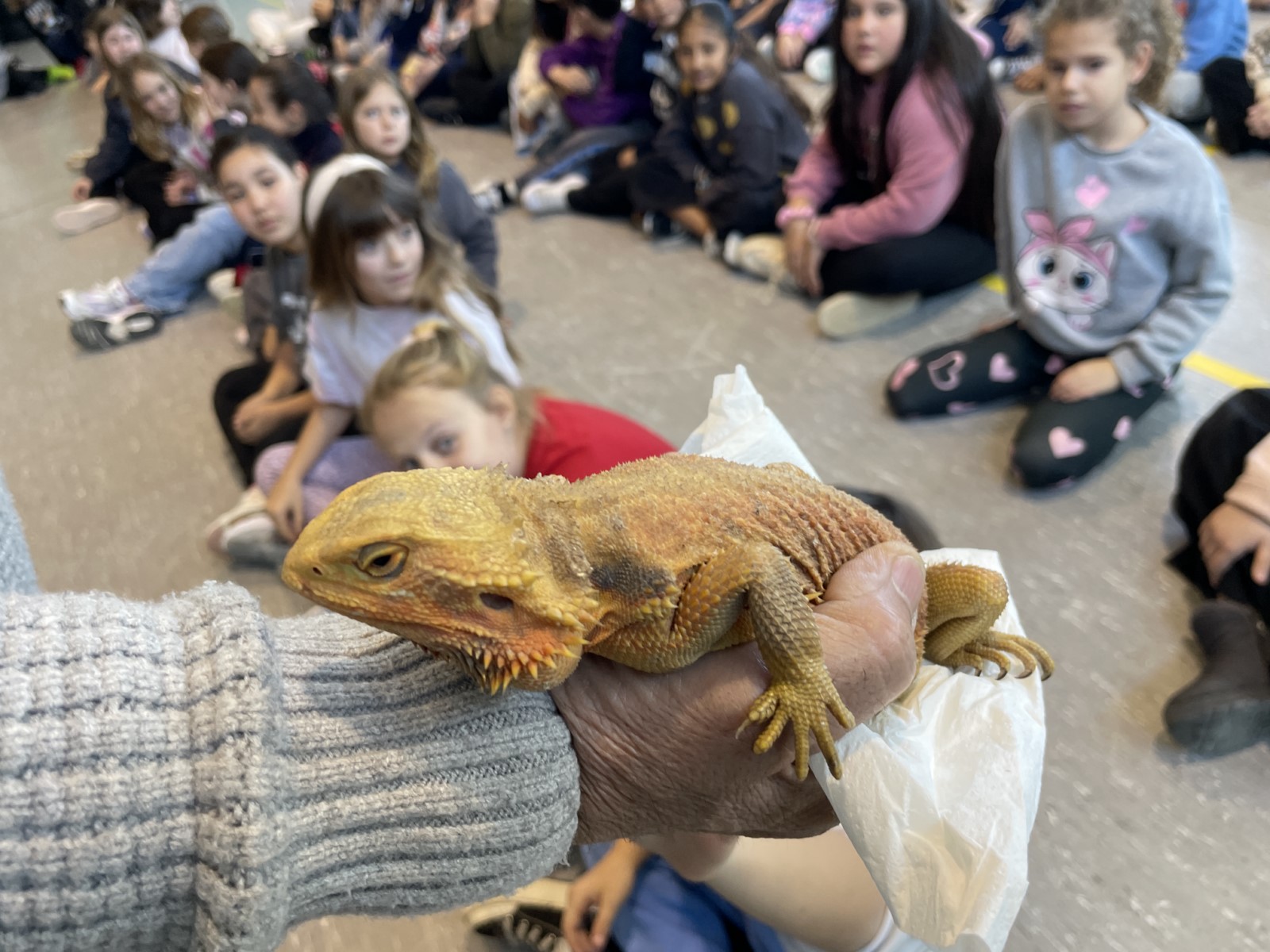 IMG_1225 [1600x1200]