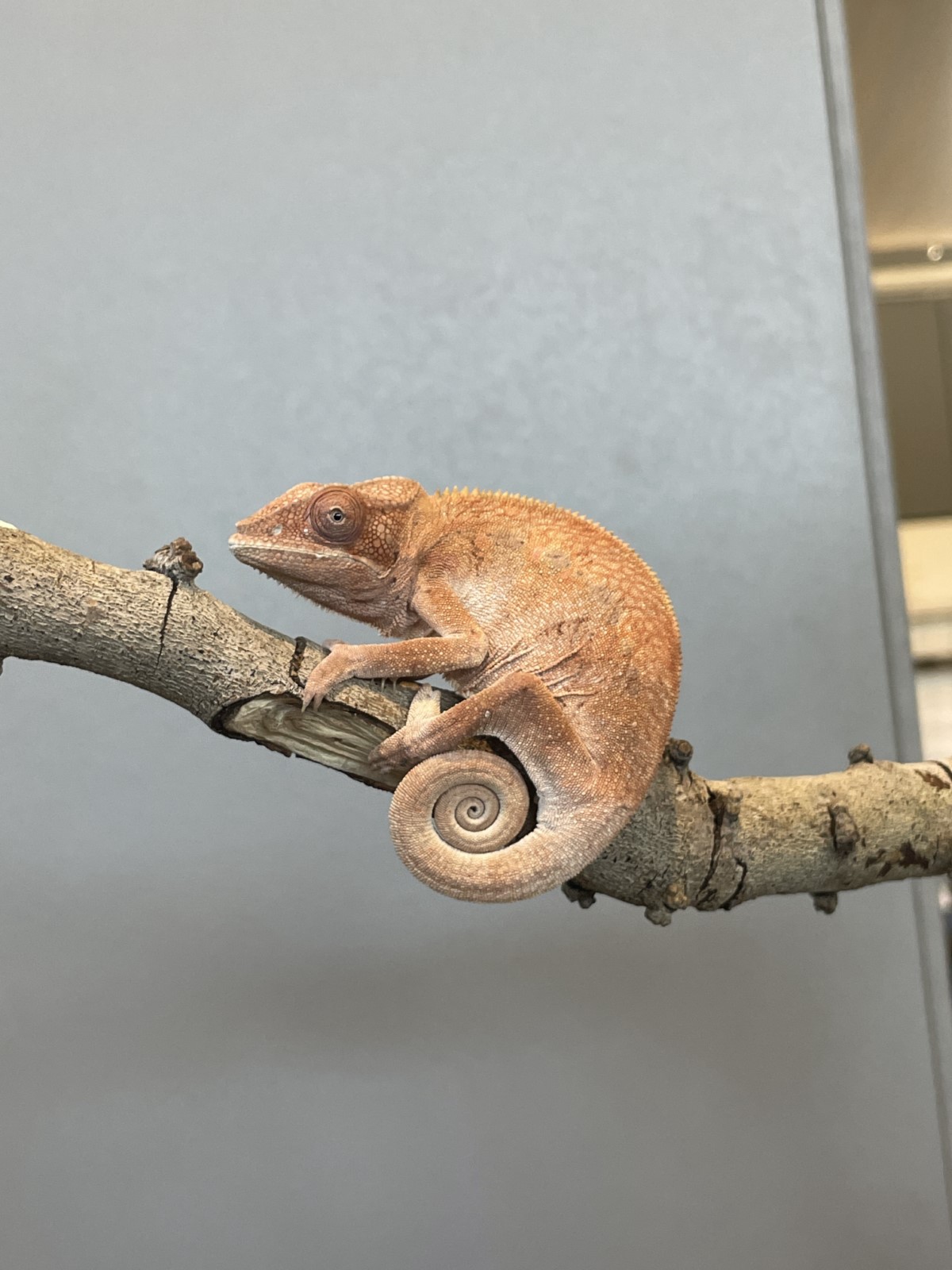 IMG_1234 [1600x1200]