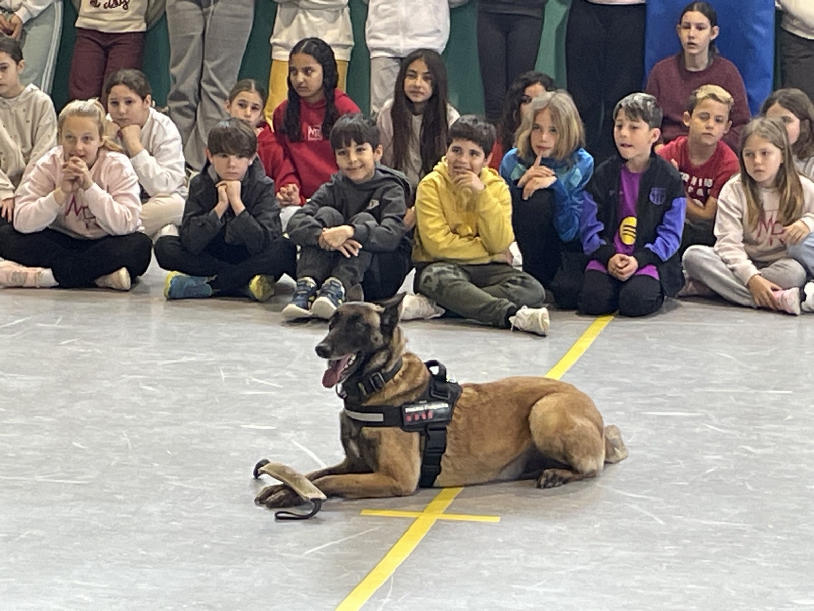 IMG_1763 [1600x1200]