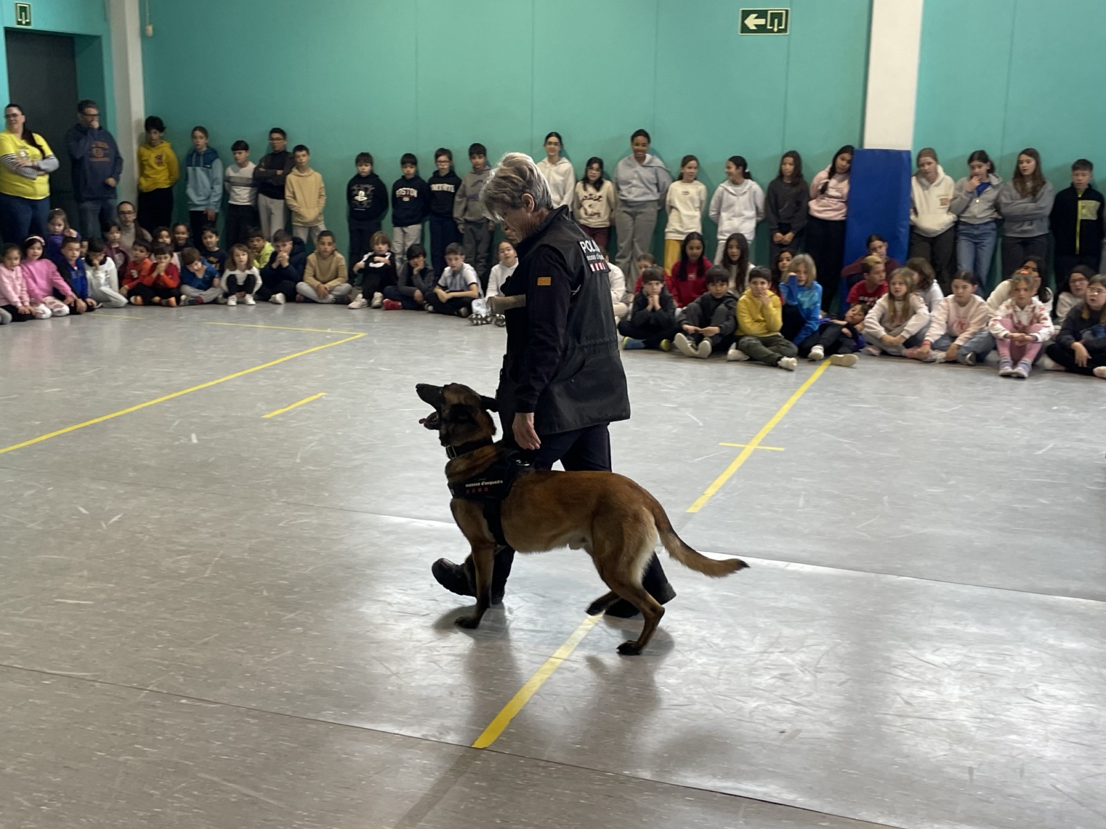 IMG_1765 [1600x1200]