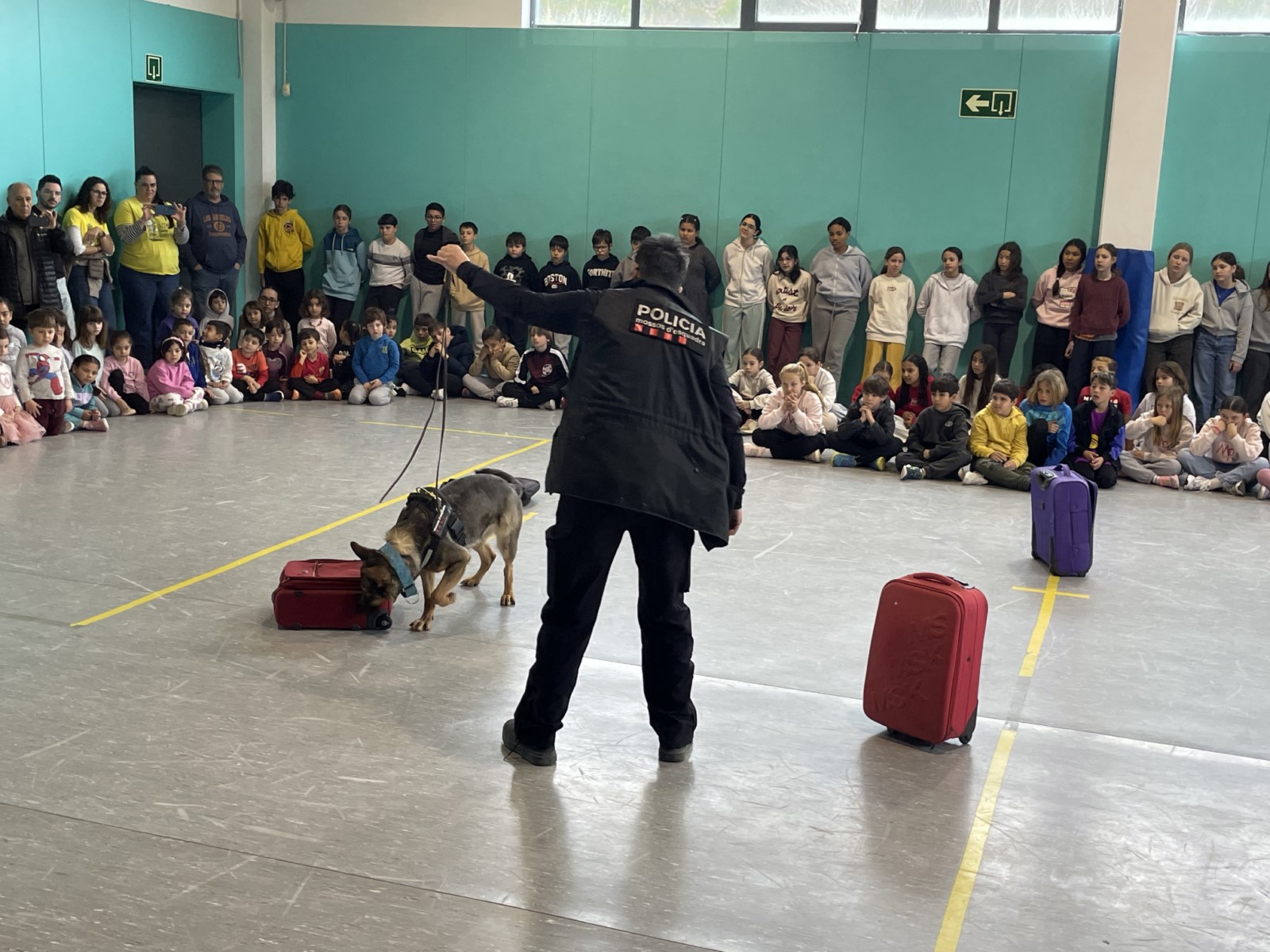 IMG_1769 [1600x1200]