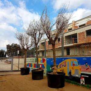 0316947d-2f9a-41a2-a658-67dcaead95d9-300x300