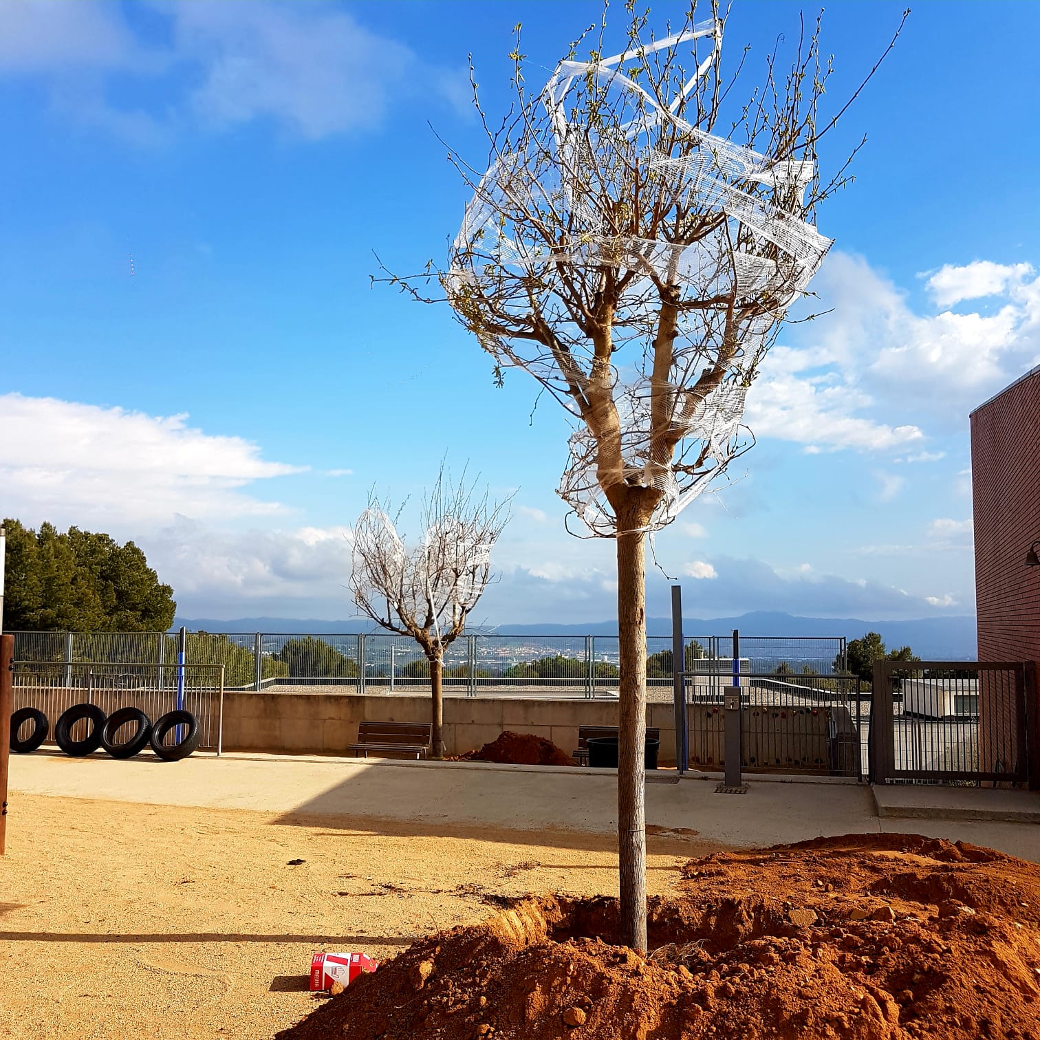 679b71d7-d10f-4e01-8645-9500a9aec228