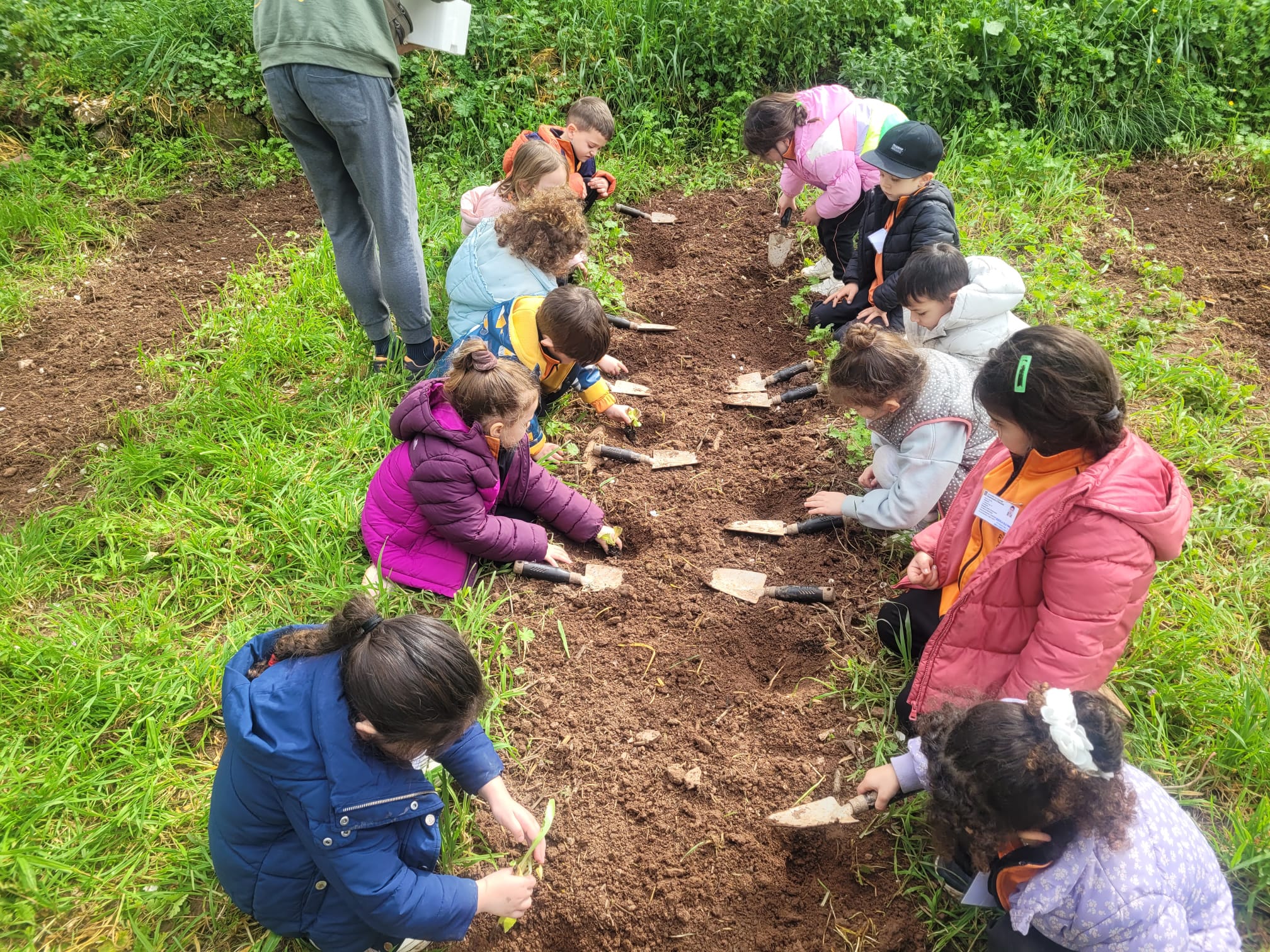 WhatsApp Image 2025-03-05 at 12.50.33