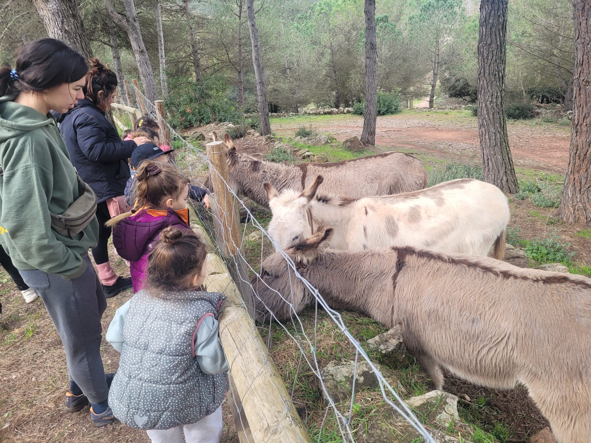 WhatsApp Image 2025-03-05 at 12.52.56