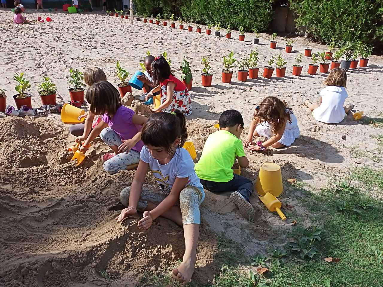 IMG20210913110505_Easy-Resize.com