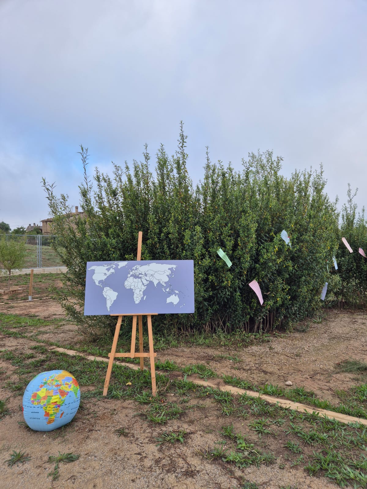 WhatsApp Image 2025-09-11 at 07.20.52