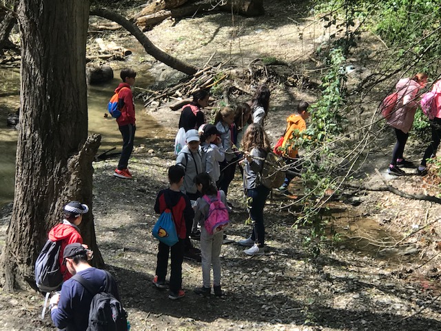 CdA-CS-12 Abr-Trencadis-12