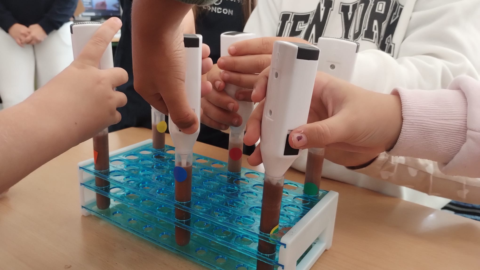 310efc84-6f08-420a-9b30-9300c5e377a0