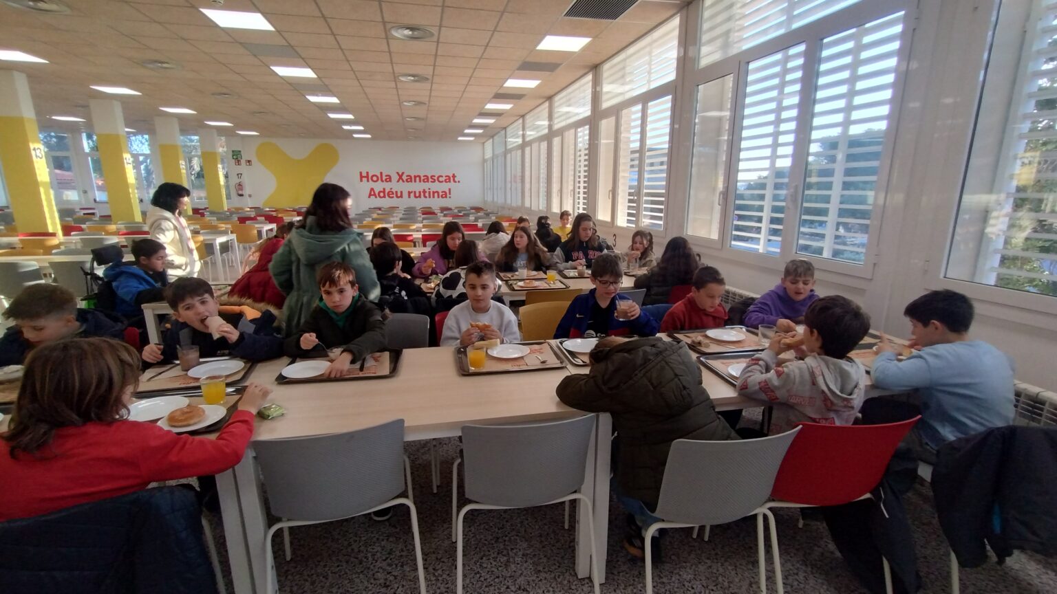 IMG_20250204_084447726_HDR-1536x864