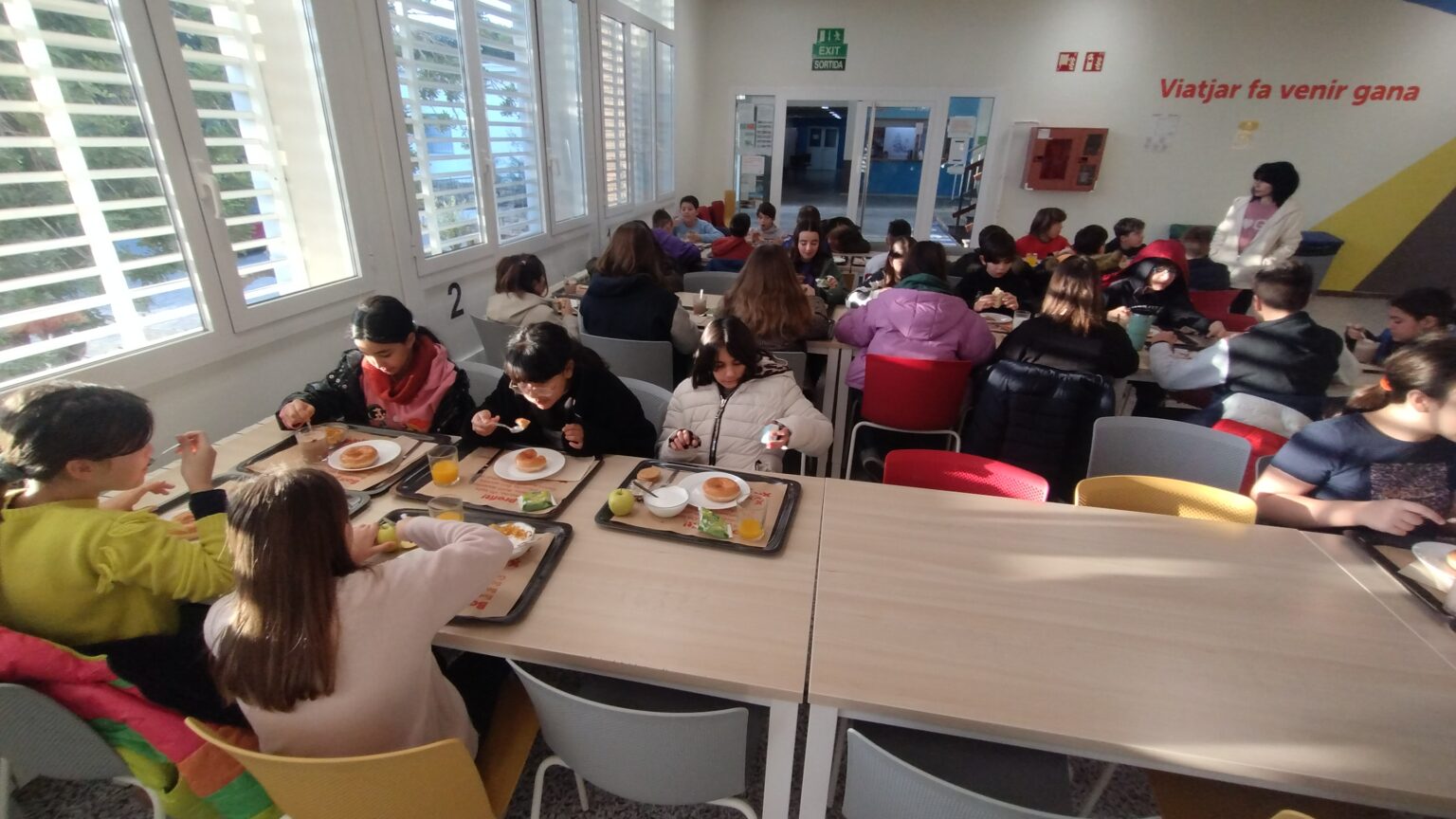 IMG_20250204_084510097-1536x864