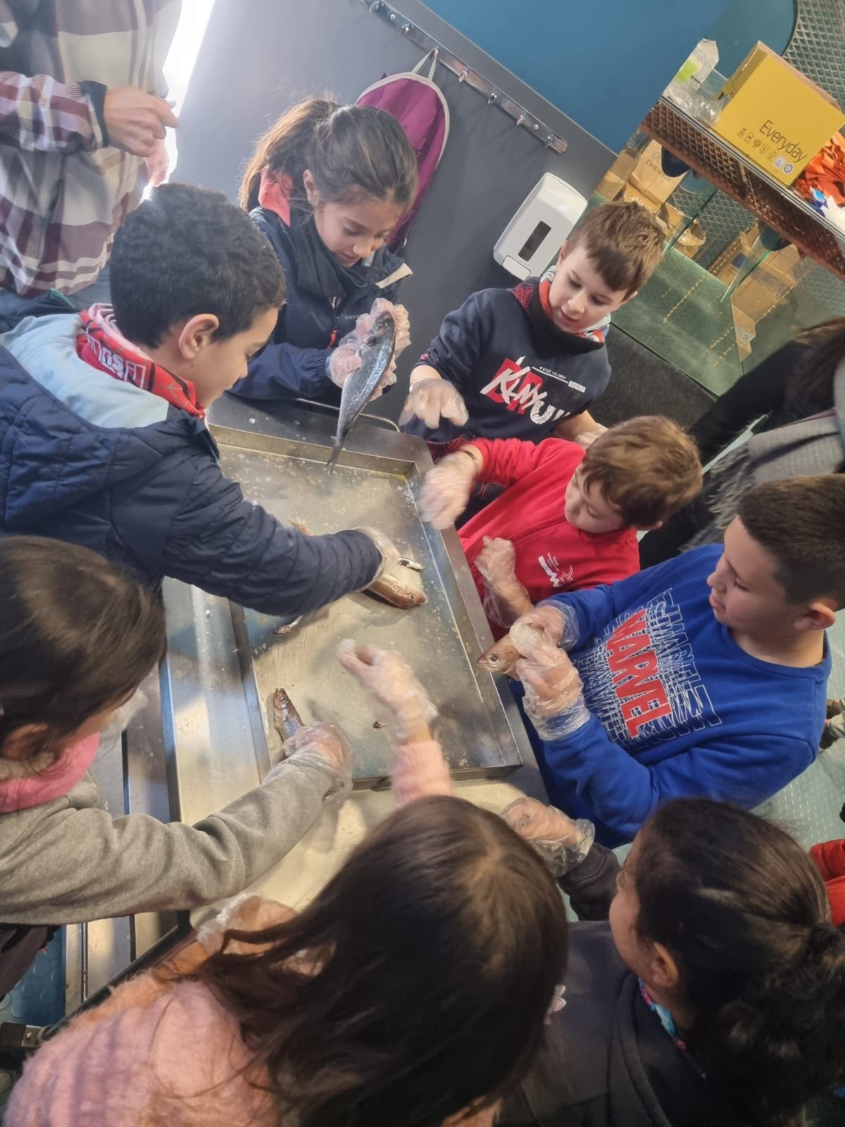 WhatsApp Image 2023-01-20 at 17.59.47 (2)