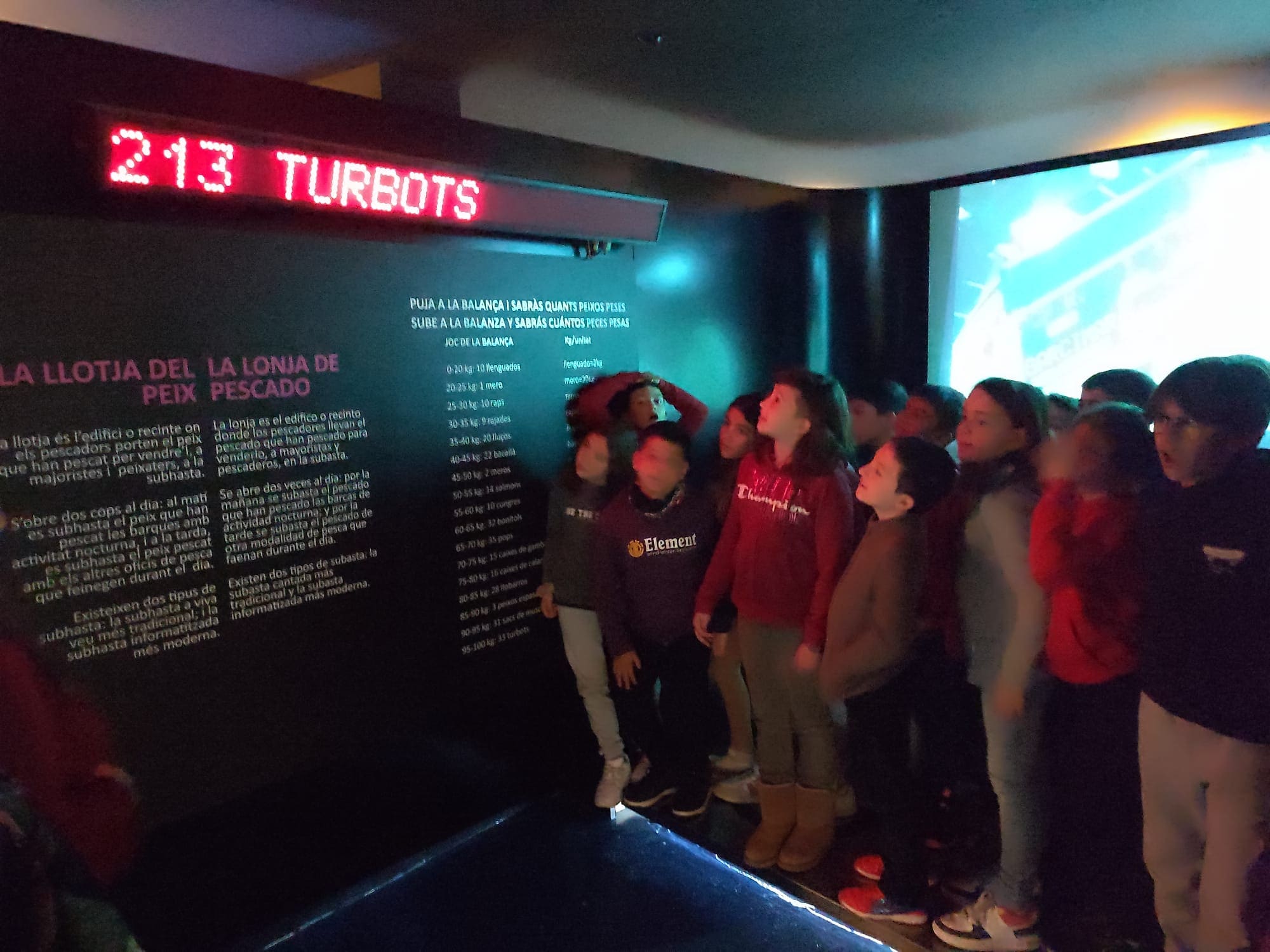 WhatsApp Image 2023-01-20 at 18.44.12 (2)