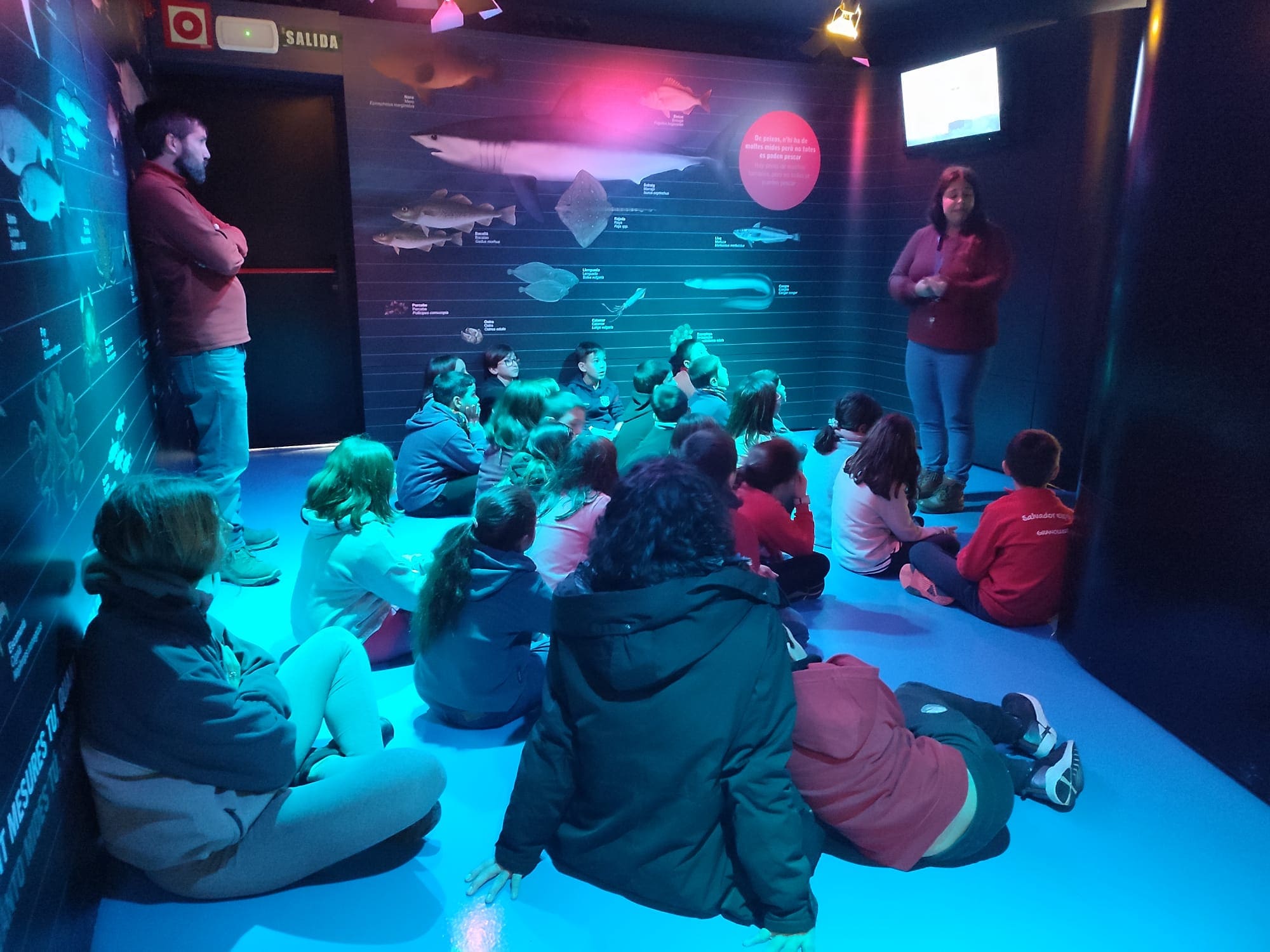 WhatsApp Image 2023-01-20 at 18.44.12 (3)