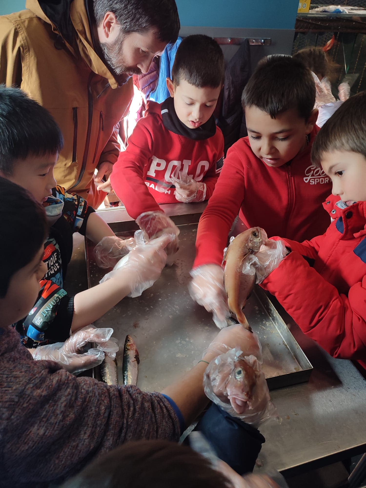 WhatsApp Image 2023-01-20 at 18.44.12