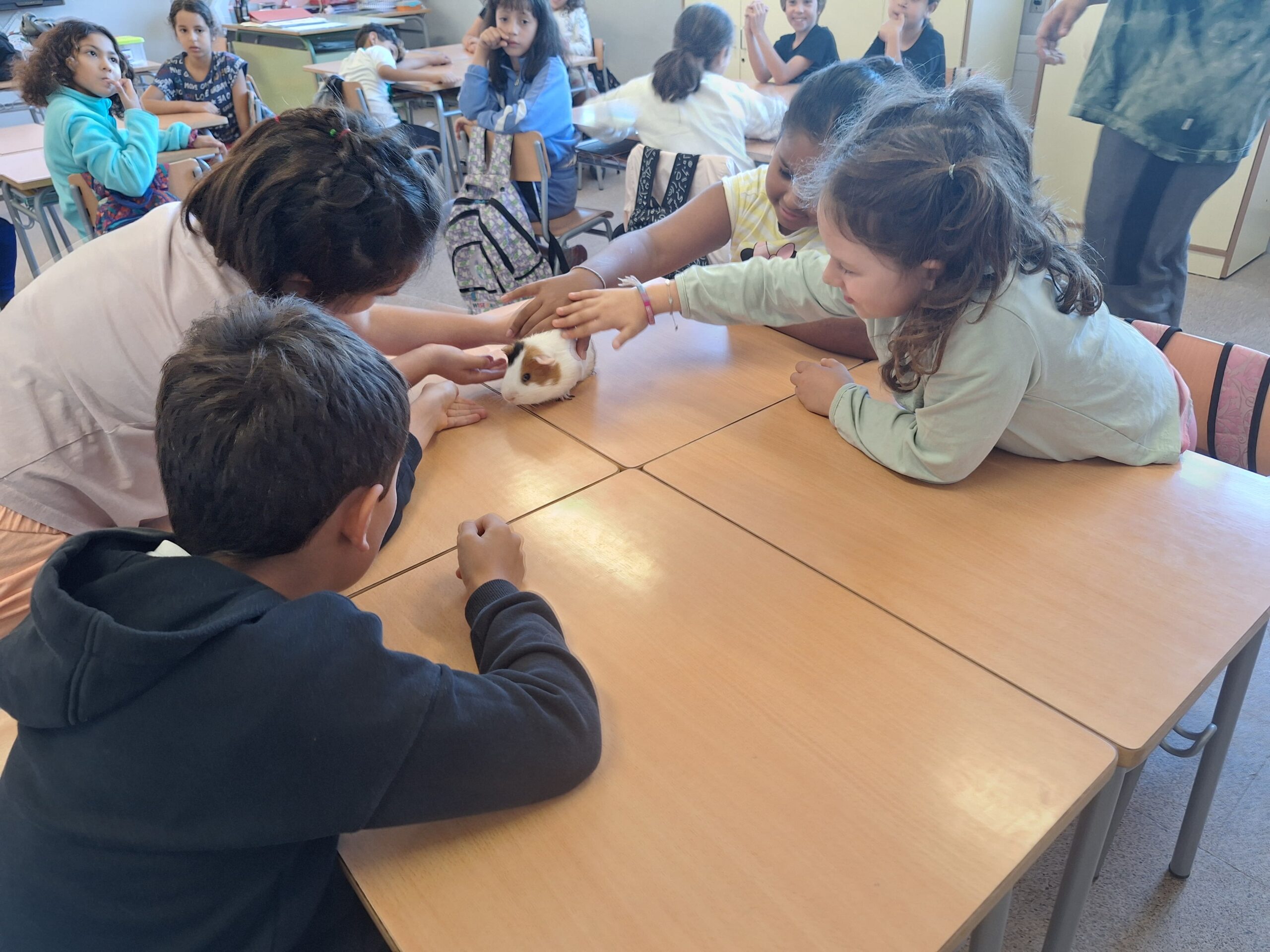 Còpia de 20241023_105244