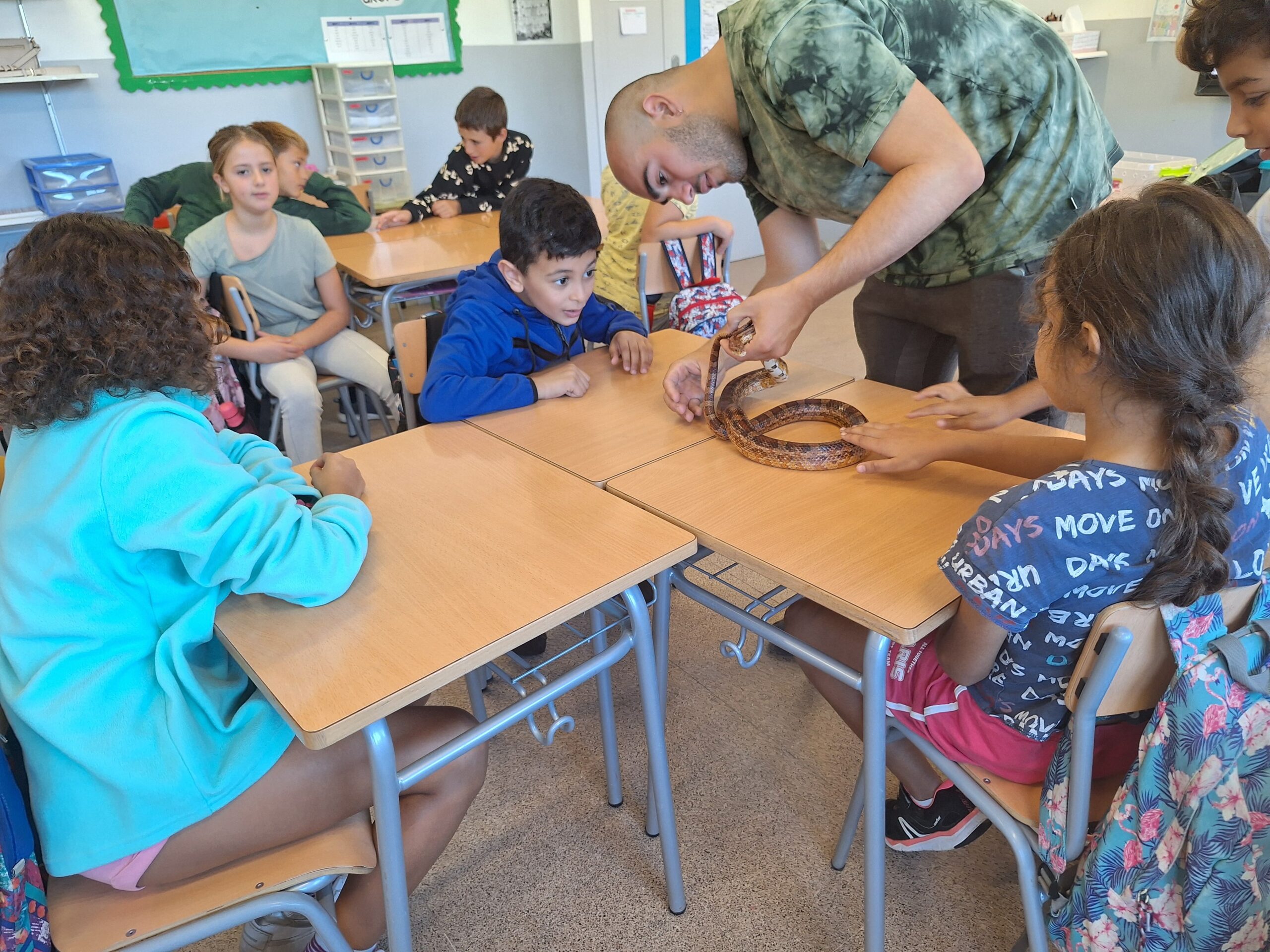 Còpia de 20241023_105754