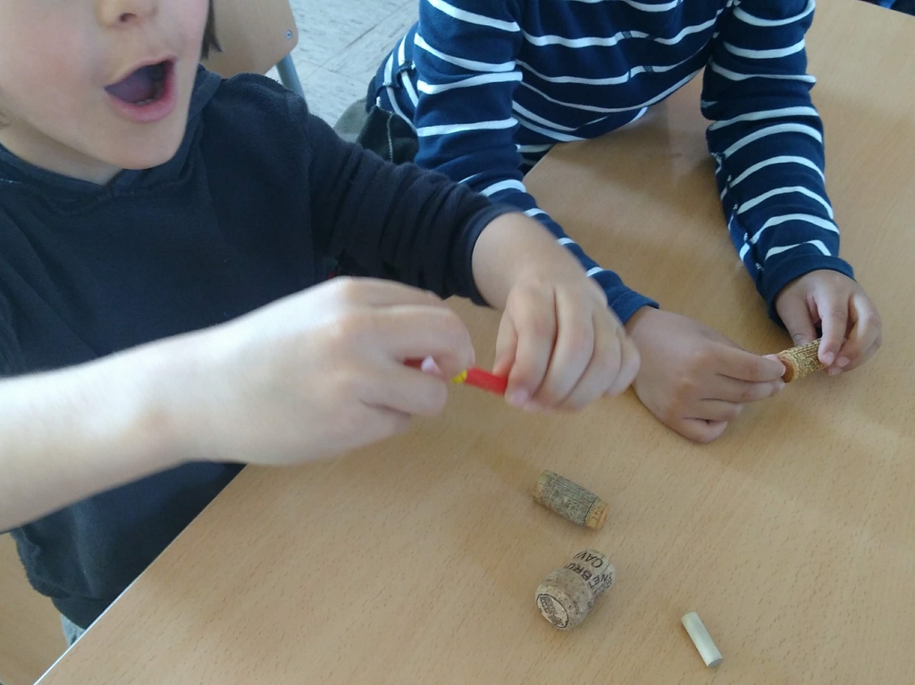 IMG_20190225_152651518 (1024x767)