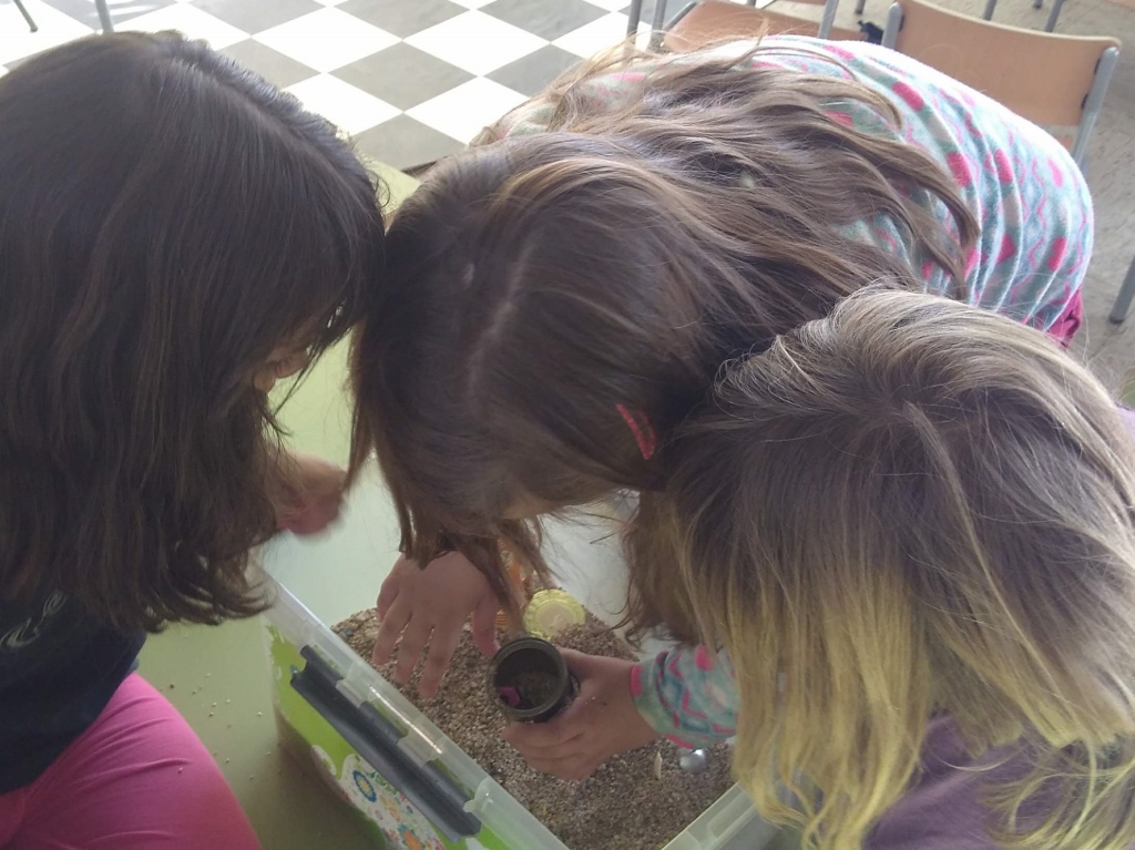 IMG_20190225_160424984 (1024x767)