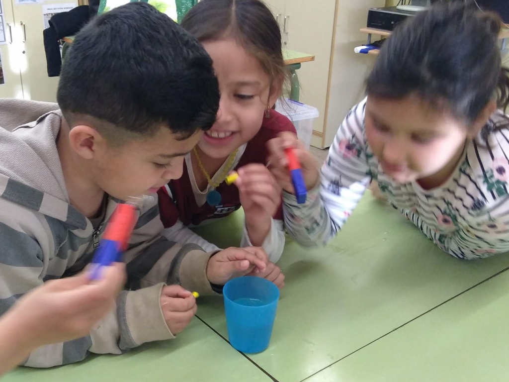 IMG_20190301_095644720 (1024x768)