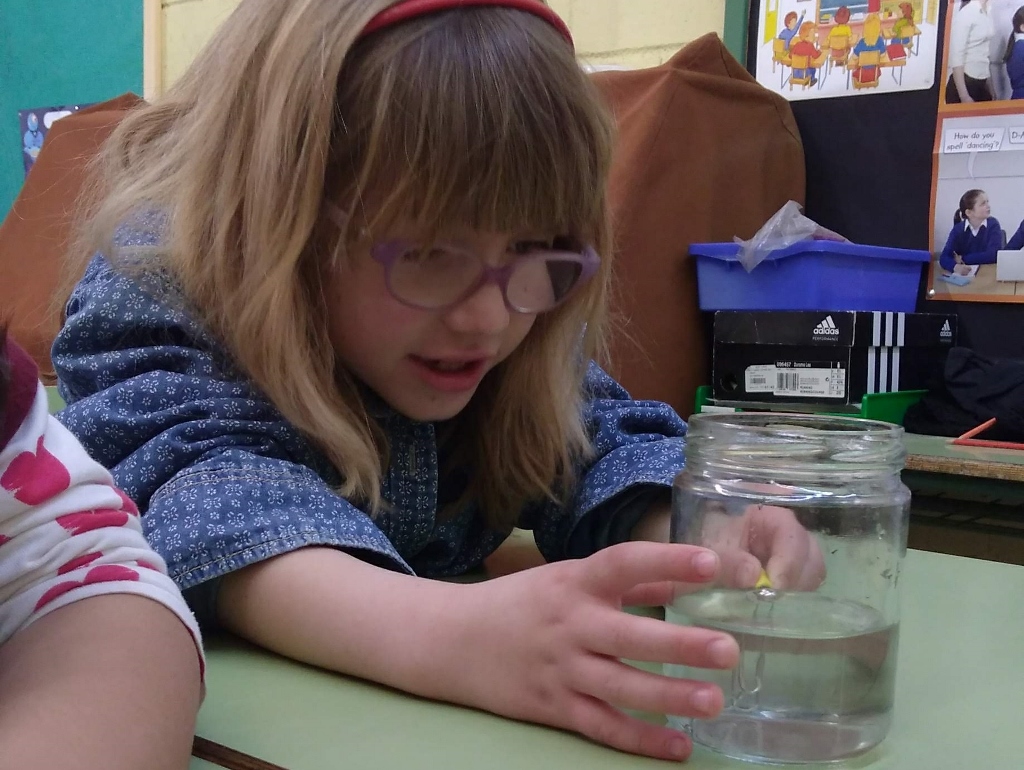 IMG_20190301_100122437 (1024x770)