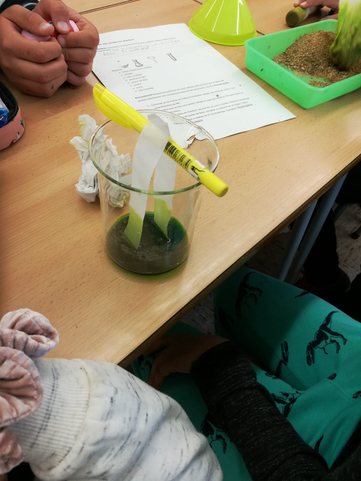 IMG-20191115-WA0001 (1)