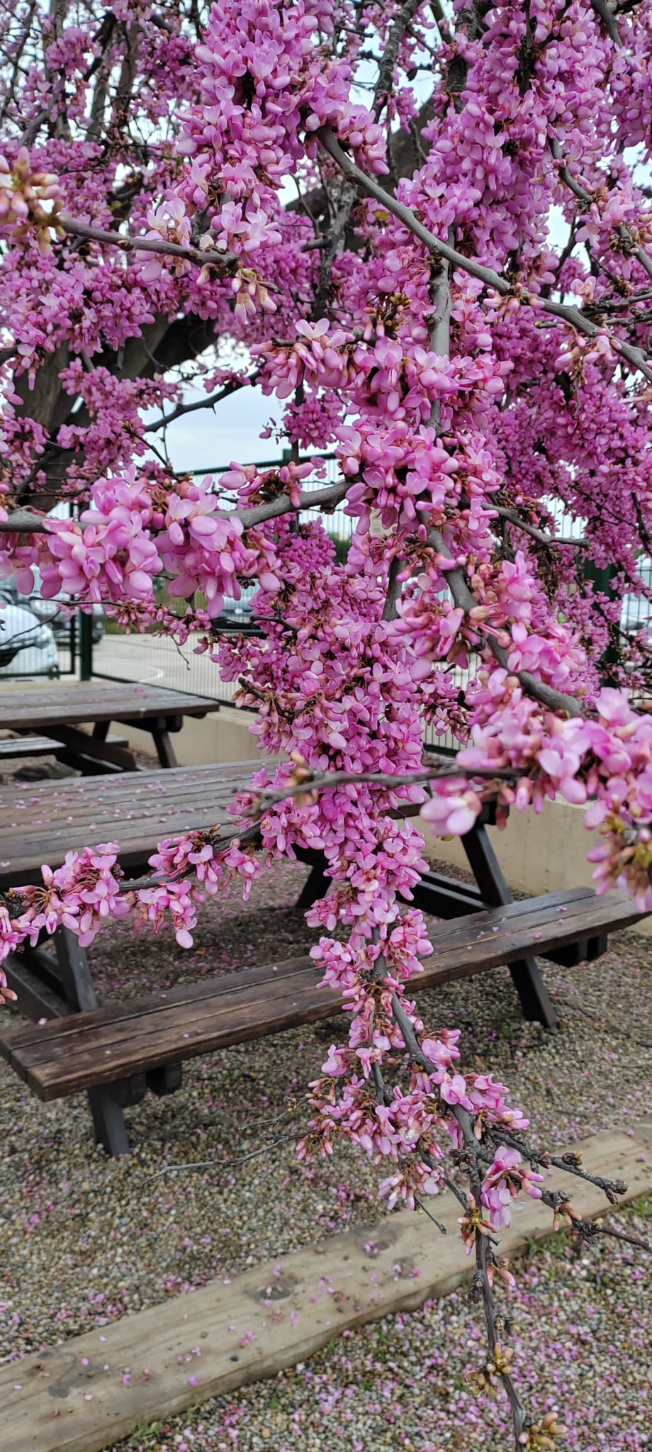 WhatsApp Image 2026-03-10 at 13.55.21 (1)